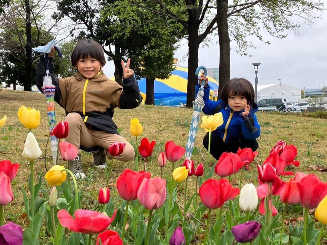 佐藤遙灯さんのインスタグラム写真 - (佐藤遙灯Instagram)「・ おでかけ🧒👦 ・ #おさんぽしてたら #キレイなチューリップを見つけたよ #🌷 #はるたす #佐藤家の休日 #佐藤遙灯  #スペースクラフト #スペースクラフトジュニア」4月30日 19時48分 - sato_haruto__official