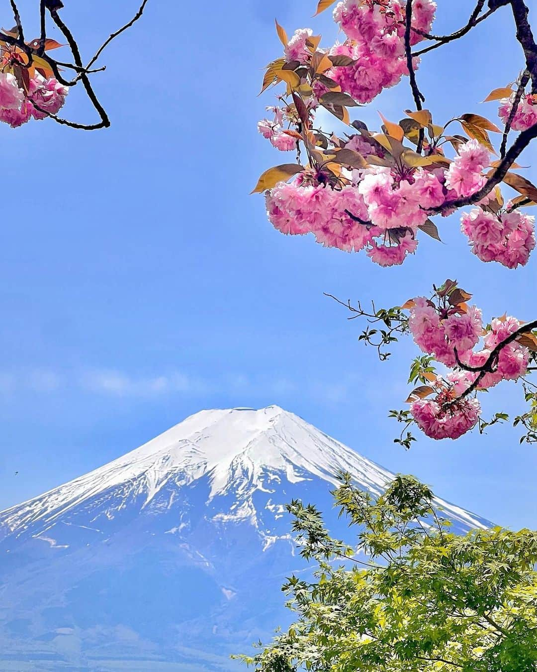 加藤里奈さんのインスタグラム写真 - (加藤里奈Instagram)「⋆ 桜越しの富士山も綺麗だったなぁ🌸  アクセサリーは @no.25accessory です❤︎ 女性らしくて可愛い〜！！  #山梨 #山梨観光 #静岡 #静岡観光 #富士山 #姉妹 #姉妹コーデ #mtfuji #ファッション #河口湖 #お出かけスポット #お出かけ #旅行 #旅行好きな人と繋がりたい  #お花見 #お花見コーデ」4月30日 20時30分 - katoco0326