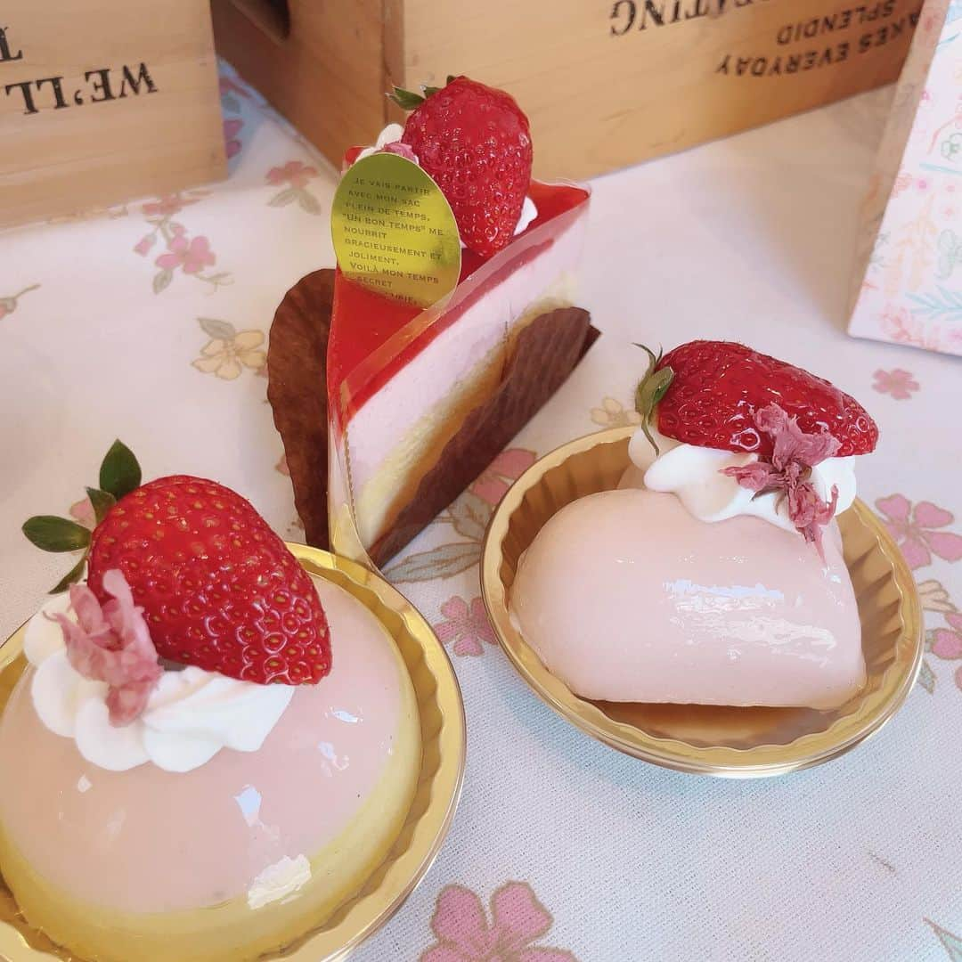 角田奈緒子のインスタグラム：「🌸 食用桜を使ったケーキ🍰 神奈川県秦野市のパティスリー・クラベリーナさんでいただきました！ とっても可愛くて美味しかったです💕  このあと載せ忘れてた SUNトピ関連の投稿続きます🙏  #日曜nスタ #sunトピ #食用桜 #八重桜 #春スイーツ」