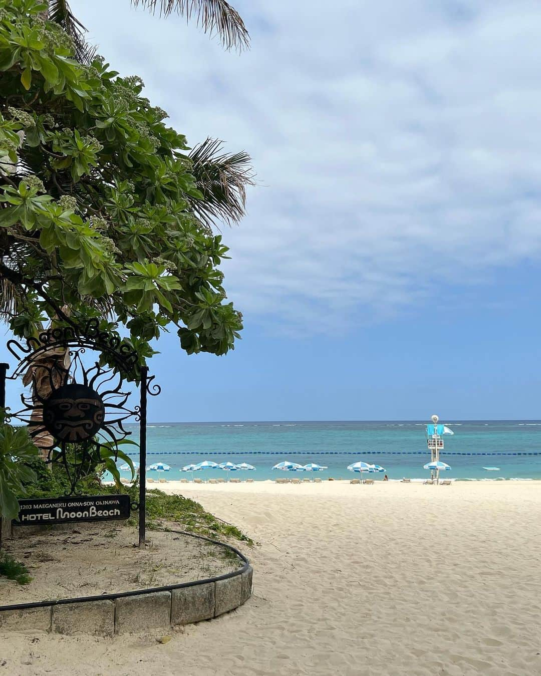 野本愛さんのインスタグラム写真 - (野本愛Instagram)「沖縄旅行で宿泊した @themoonbeachmuseumresort は思わず写真を撮りたくなる 場所が多かった🥰💕  ビュッフェもどれも美味しくて 特にカレーが美味しかった💚  しかも安いの✨  ホテルのビュッフェは 値段高くても 味が満足できないところもあるから すごく嬉しかったー🥰🥰  あとケーキも美味しかったなー🍰✨  ビーチも天然ビーチだから 砂浜が真っ白で きれいだったー🥰🥰🥰  #ザムーンビーチミュージアムリゾート #ムーンビーチ #沖縄旅行 #沖縄 #恩納村 #沖縄ホテル #沖縄ビーチ #沖縄好き #ホテルビュッフェ #ホテルスイーツ #沖縄リゾート #リゾート好き #旅女 #okinawa #okinawatrip #onnason #okinawabeach」4月30日 21時27分 - himemode