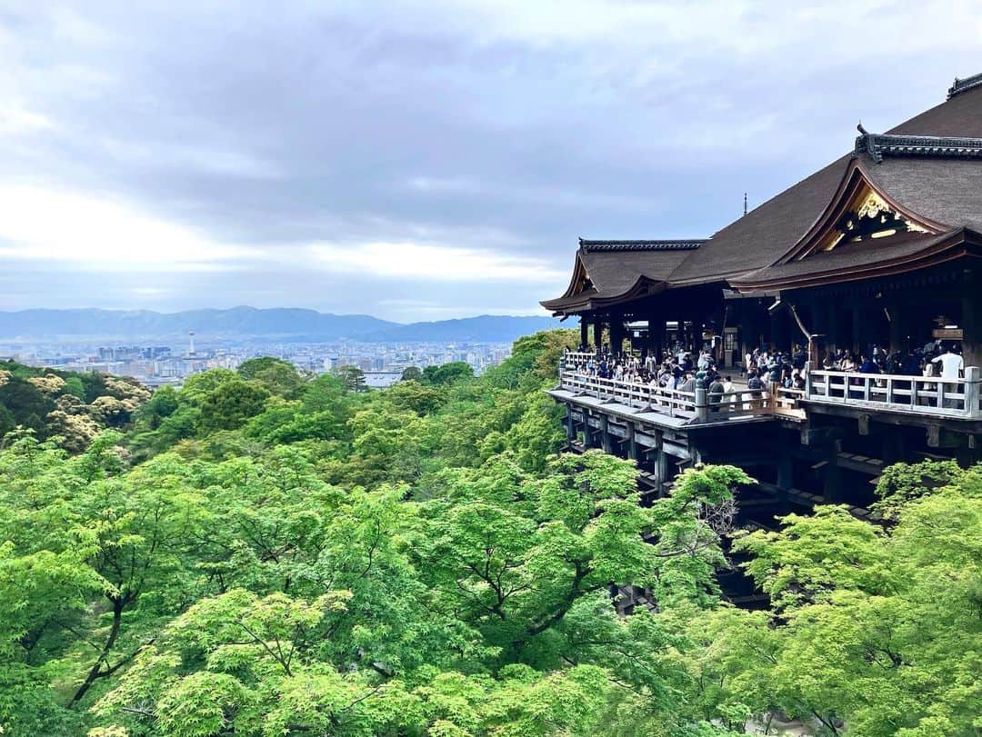 しおやてるこさんのインスタグラム写真 - (しおやてるこInstagram)「そうだ！！！京都、行こう！つってね！行ってきました。行きの新幹線から富士山見えました🗻ラッキー！  お庭も仏像（撮影禁止）もめちゃくちゃよかった。天気が少し悪かったものの、観光中はほぼ降らずたまにパラパラ小雨が降ったり止んだりくらいで。逆にゴールデンウィーク初日なのに空いててゆっくり堪能できたのもラッキーでした。また行きたい！  ネコチャンお留守番えらかったのでご褒美ちゅ〜る🐈‍⬛💕ありがとうね #京都」4月30日 21時33分 - shiochin1129
