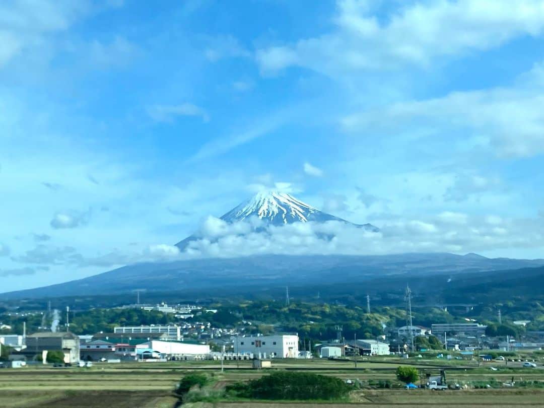 しおやてるこのインスタグラム：「そうだ！！！京都、行こう！つってね！行ってきました。行きの新幹線から富士山見えました🗻ラッキー！  お庭も仏像（撮影禁止）もめちゃくちゃよかった。天気が少し悪かったものの、観光中はほぼ降らずたまにパラパラ小雨が降ったり止んだりくらいで。逆にゴールデンウィーク初日なのに空いててゆっくり堪能できたのもラッキーでした。また行きたい！  ネコチャンお留守番えらかったのでご褒美ちゅ〜る🐈‍⬛💕ありがとうね #京都」