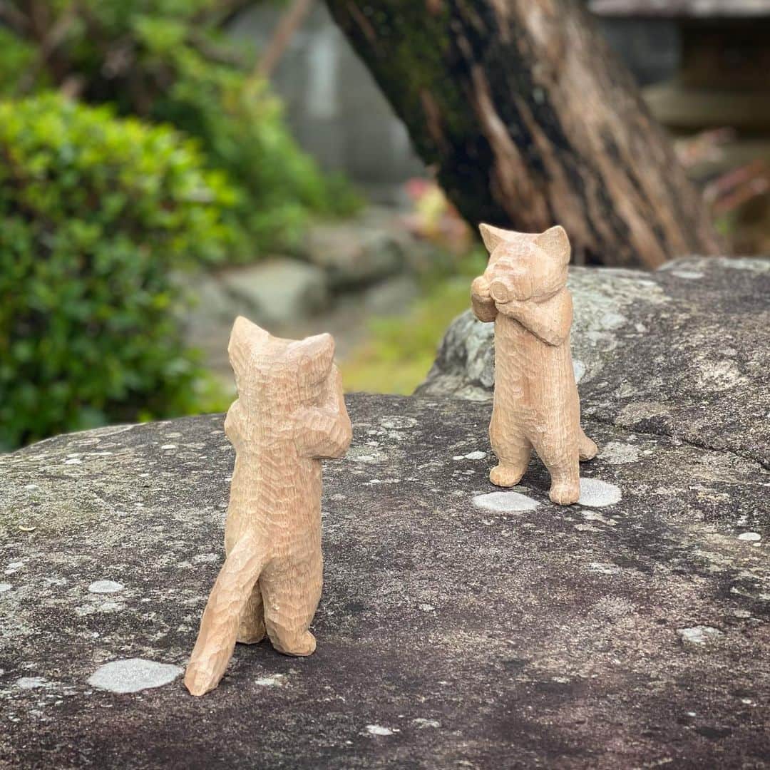 花房さくらさんのインスタグラム写真 - (花房さくらInstagram)「「撮り合いっこも楽しいね」 「帰ったらアルバム作ろうよ」  #猫は時として旅をする  #cat #sculpture #hanafusasakura」4月30日 21時48分 - sakura_hanafusa