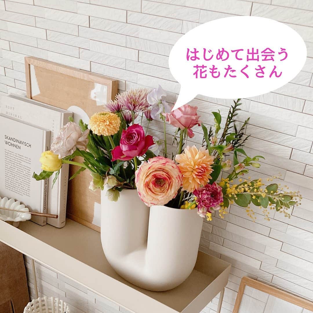 雑誌『花時間』さんのインスタグラム写真 - (雑誌『花時間』Instagram)「花時間の花の定期便は、ご存知ですか？  花時間（@hanajikan_magazine）です。  コロナ禍以降、たくさんの花のサブスクが誕生。私たち『花時間』も、ただきれいなお花を誌面やSNSで発信するだけでなく、実際にお花を手に取って楽しんでもらおうと、定期便を始めました。  ⭐️自慢のポイント⭐️  ・東京の花市場から直送なので、鮮度抜群で、センスのいいお花屋さんも注目の花もいろいろ。  ・届いたら、ボリュームに驚きます！  ・切り戻しながら、長く楽しめるよう、長い茎のままお届け。  ・花時間特製　花のポストカードとお手入れメモつき。  ・こだわりのバラは、人気の育種・生産者のバラ🌹　なかなか出会えない🌹を定期的にお迎えできます！  ⭐️コースは3つ⭐️  ・プチ（S） 季節のお花のセット1980円（送料・税込）  ・スタンダード（M）こだわりのバラと季節の花のセット3850円（送料・税込）  ・リュクス（Ｌ） こだわりのバラと季節の花のセット5500円（送料・税込）  1回だけのお試しコースもあるので、花時間自慢の花たちをお取り寄せしてみてくださいね。  【花時間ニュース】 💜『花時間』から、花の定期便がスタートしました🥰　世界でここだけのバラと旬花が届く嬉しいサービスです💕  💜『花時間2023春夏』〈春のピンク！夏のブルー！〉大好評発売中！  💜『花と短歌でめぐる 二十四節気 花のこよみ』大好評発売中  すべて @hanajikan_magazine のプロフィールのリンクから飛べます✈️  『花時間』本誌や書籍は全国の書店、ネット書店でも発売中✨  #花時間 #花の定期便 #花のサブスク  #フラワーアレンジ #花が好き #花が好きな人と繋がりたい #花を飾る #花を飾る生活 #花屋さんへ行こう」4月30日 21時44分 - hanajikan_magazine