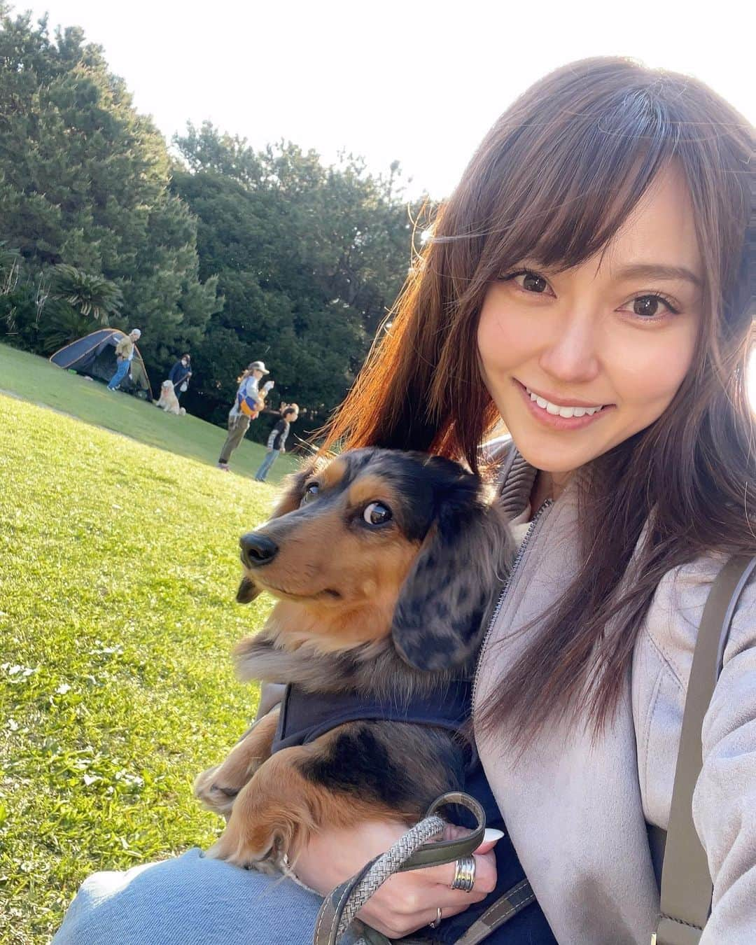 中川祐子のインスタグラム：「少し前になりますが、 愛犬を連れて千葉県で開催された ドッグマルシェに行ってきましたー🐕💓 . 色んな犬用グッズや洋服、 フードやおもちゃ、マッサージサービスまで！ 様々な露店が並ぶわんちゃんのイベント🐶♬ 可愛い色んな犬種のわんちゃんたちにも会えるし、 テンション上がるわ〜😍✨ . そこで見つけたテラケアブラシがすごく気になって、 残りラストワンをゲットしちゃいましたー💕 . テラヘルツ波を発するブラシで、 毛のからみやもつれを瞬時に取り除き、 ふわふわさらさら艶々の毛並みにしてくれるとのこと！ さらに、血流UPと全身のツボが刺激されて 癒しを与えるのだとか😳 . 早速帰って試してみると… ブラシ嫌いのうちの子が 気持ち良さそうにその場で寝転がってしまったー‼️😆👏 (→7枚目動画あり) . 本当にビックリするほど 毛並みがツヤツヤになるし、 買って良かったー🥰 . 今ではこのブラシを見せると めっちゃ喜んで近づいてきます笑 (→写真8枚目見て〜🤣) . @blanche_for_pets  . #ドッグマルシェ #わんちゃんイベント #犬用グッズ #テラケアブラシ #ペット用ブラシ #テラヘルツ波  #癒されるわんこ #愛犬とお出かけ  #カニンヘンダックス #ポメラニアン #doggylove  #doggydaycare  #dogmarche」