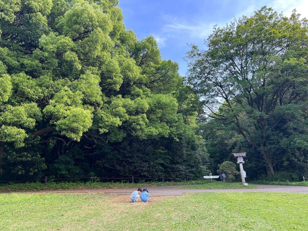 安田美沙子さんのインスタグラム写真 - (安田美沙子Instagram)「家族で大きな公園へ。。。  自然に囲まれて、おいしーい空気を沢山吸って、リセット✨  何にもなくても、なーんでもある。  また行こうね🌈  明日は、NHK「あさイチ」 生放送に出演いたします。  ぜひ、ご覧ください✨  #park #nature #family #公園集合 #brothers #boys #次男はギャロップ #hereiam #にいにのシャツを着る次男 #かあちゃんメイク忘れた」4月30日 22時06分 - yasuda_misako