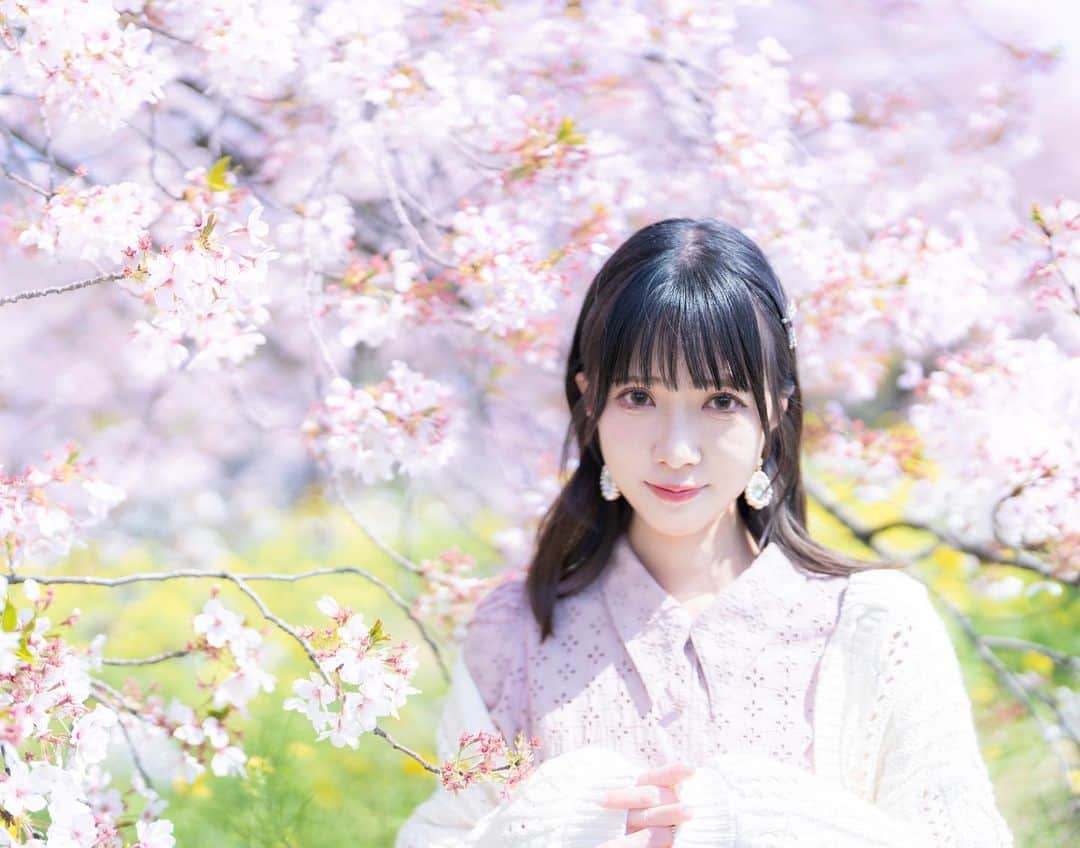キアナのインスタグラム：「桜の季節あっという間だったね🌸 ゆっくりお花見できて良かった✨」