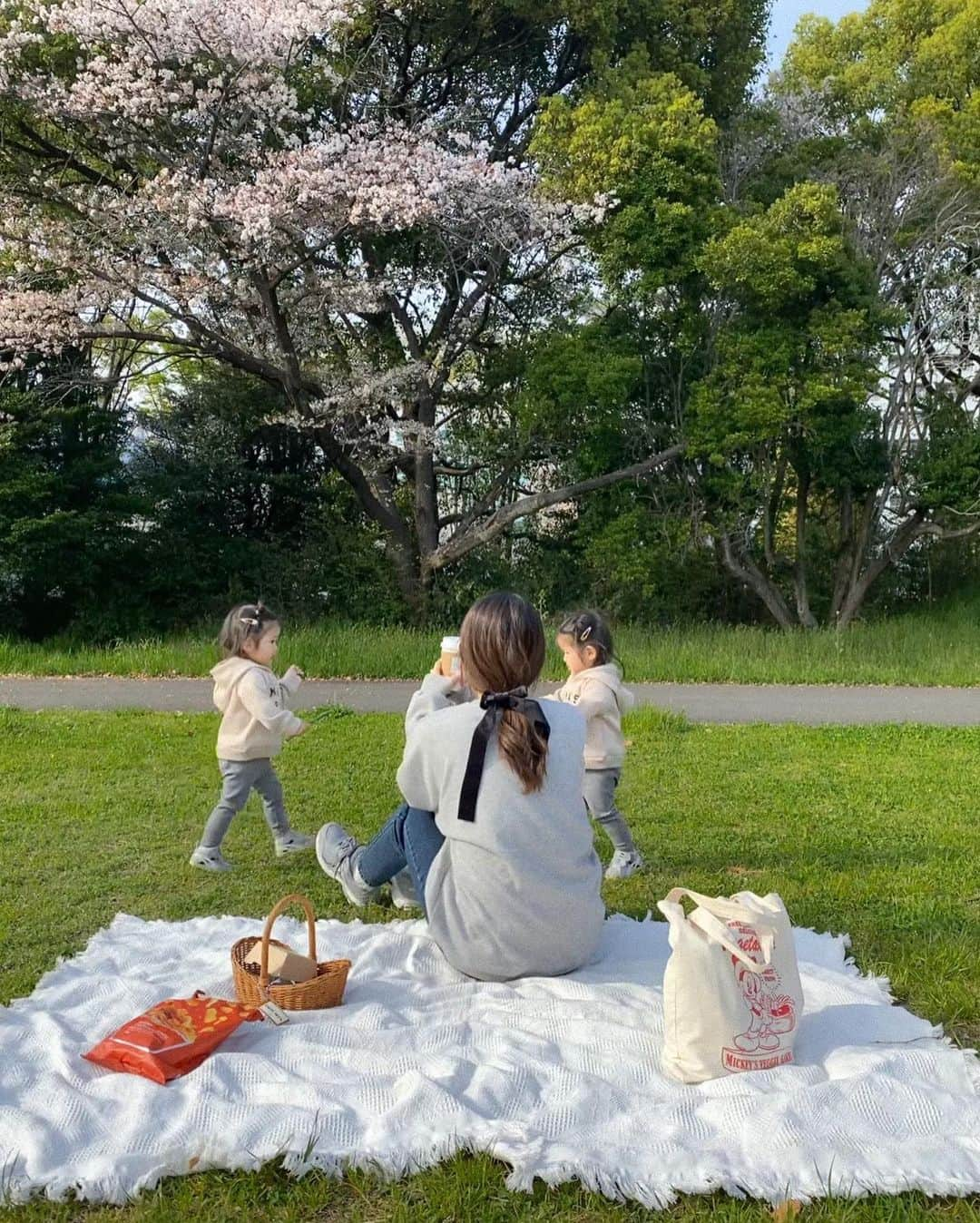 NANAのインスタグラム：「🧺🌱  テイクアウトしてタネタネと公園ピクニック！ この日もたくさん走り回った🏃🏻‍♀️ 最近は気付くと何だか朝からずっと立っている🕴笑  そんなドタバタした日常でも美容は効率よく取り入れたく...🤝🏻😅✨ 工夫しながら過ごしているのだけど、今までとは違った意味で身体に取り入れたいプロテインに出会ったのでシェアハピ✍🏼💓  @clever_protein_official コラーゲンペプチドとヒアルロン酸も配合されているので、肌にハリや潤いを与えてくれて関節の動きをなめらかにしてくれる働きまである(！) クレバーのコラーゲンプロテインを、朝のヨーグルトに混ぜたりして取り入れています🥣 なんと無味無臭だから、料理でもいいしお茶とかに混ぜたりしても美味しく飲めるんですっ♡ 日常にサラッと取り入れられるのが嬉しい！ ほんとにこんなのが欲しかった。。🥹🫶🏻 健康のために家族で取り入れていきたいなぁと思っています🫗  #cleverprotein #clever #pr #クレバープロテイン #クレバー #プロテイン #理想のカラダへクレバーな選択 #コラーゲンペプチド #コラーゲン #美容 #コラーゲンプロテイン」