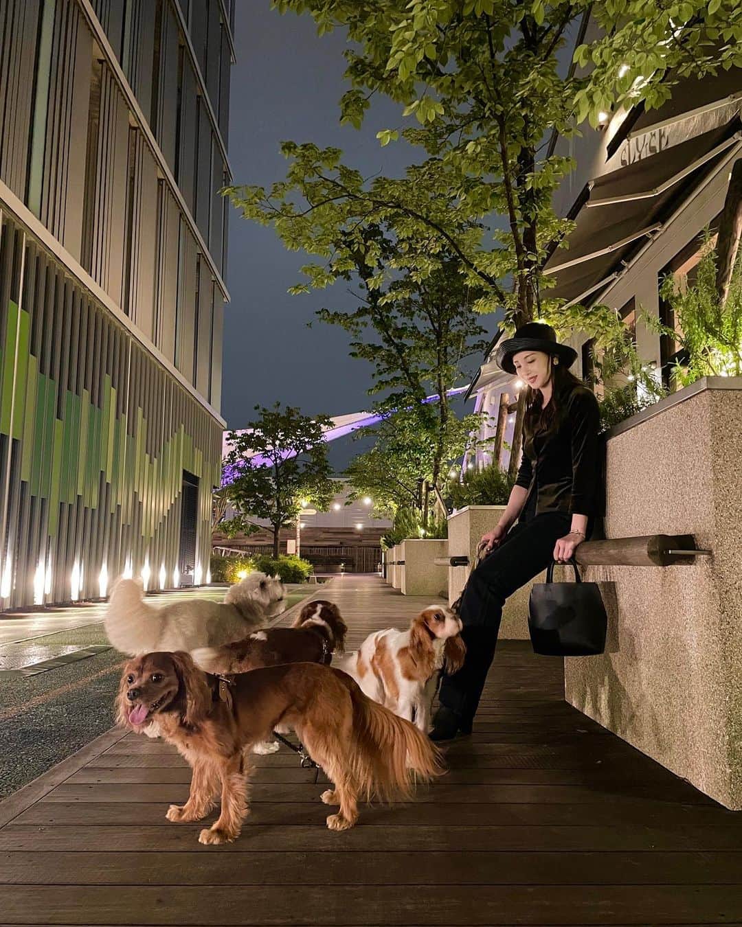木下ココさんのインスタグラム写真 - (木下ココInstagram)「holiday mood🕊🌃  ・ ・ #mood #holiday #tokyo #木下ココ #犬のいる暮らし」4月30日 22時23分 - cocot_chan