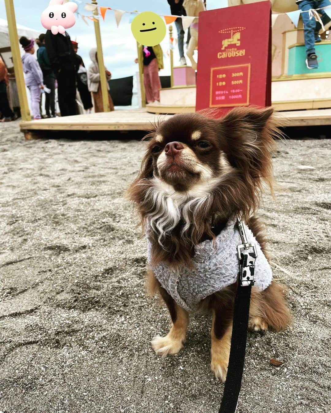 府川唯未さんのインスタグラム写真 - (府川唯未Instagram)「昼間は街を上げてのスポーツイベントで、逗子アリーナへ。スタジオの皆んなとコンクールナンバー踊らせて頂きました！夕方はお気に入りの帽子を被って海岸へ。 映画を観ないで帰る映画祭もよし🎬 写真は江ノ島の上の富士山✨✨とっても綺麗でした(๑>◡<๑)  #逗子海岸 #映画祭 #JDA #コンクールまで #あと5日 #小学6年生 #女子 #江ノ島 #富士山 #バケットハット」4月30日 22時33分 - yumifukawa_official