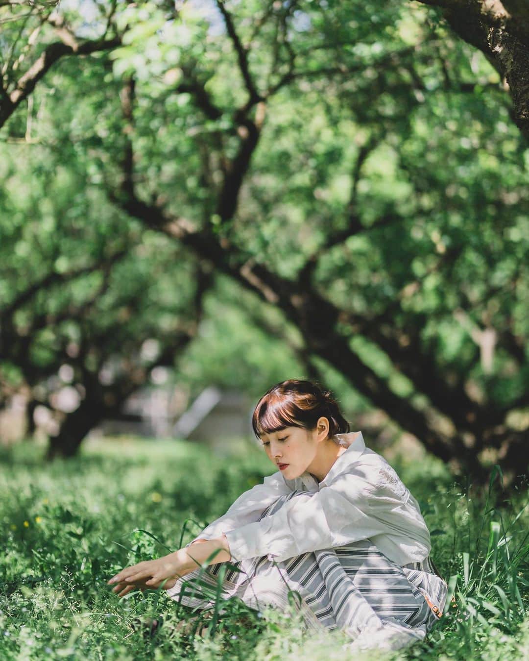 鹿の間のグルメインスタ