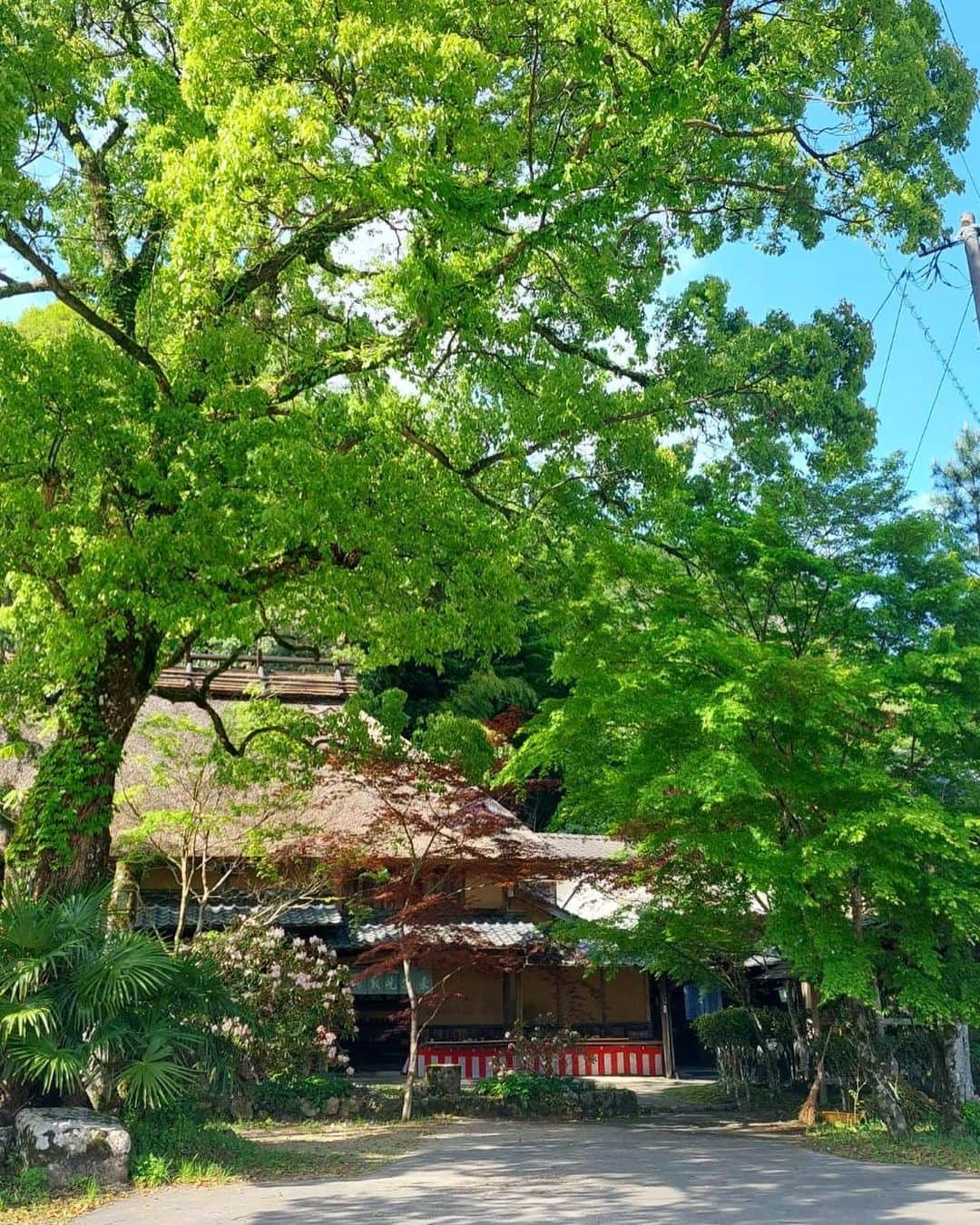 ERINA UENOさんのインスタグラム写真 - (ERINA UENOInstagram)「東峰村「春の民陶むら祭」🌿 5/3（祝）〜7（日）まで開催されます✨  既に小石原は「民陶祭」モードで 賑わっていました💚  お邪魔した #高取焼宗家 さん 420年の歴史をもつ高取焼の窯元で 福岡黒田藩御用窯として栄えた茶陶窯。  @takatoriyaki  お抹茶体験🍃 5/3,4,5の3日間は、 100年以上の歴史を持つお茶室「残月亭」で 日本文化・歴史を感じながら お抹茶と美味しいお菓子を楽しめます。 （体験料700円で気軽に参加できます）  息子はひと足先に看板娘ちゃんと 残月亭で🍩タイム。 庭を駆け回って…なんて贅沢な🖐️❤️  村生まれの私と都会育ちの息子。 一緒に体験していきたいな🪴  来村多数、混雑も予想される民陶祭、 交通状況・渋滞に気をつけながら おでかけくださいね🤲💓  * *⁡ ⁡⁡ ⁡#東峰村 #小石原 #高取焼 #うつわ #pottery⁡ ⁡#田舎 #福岡 #Fukuoka #福岡ママ」4月30日 23時35分 - erina_flowdia