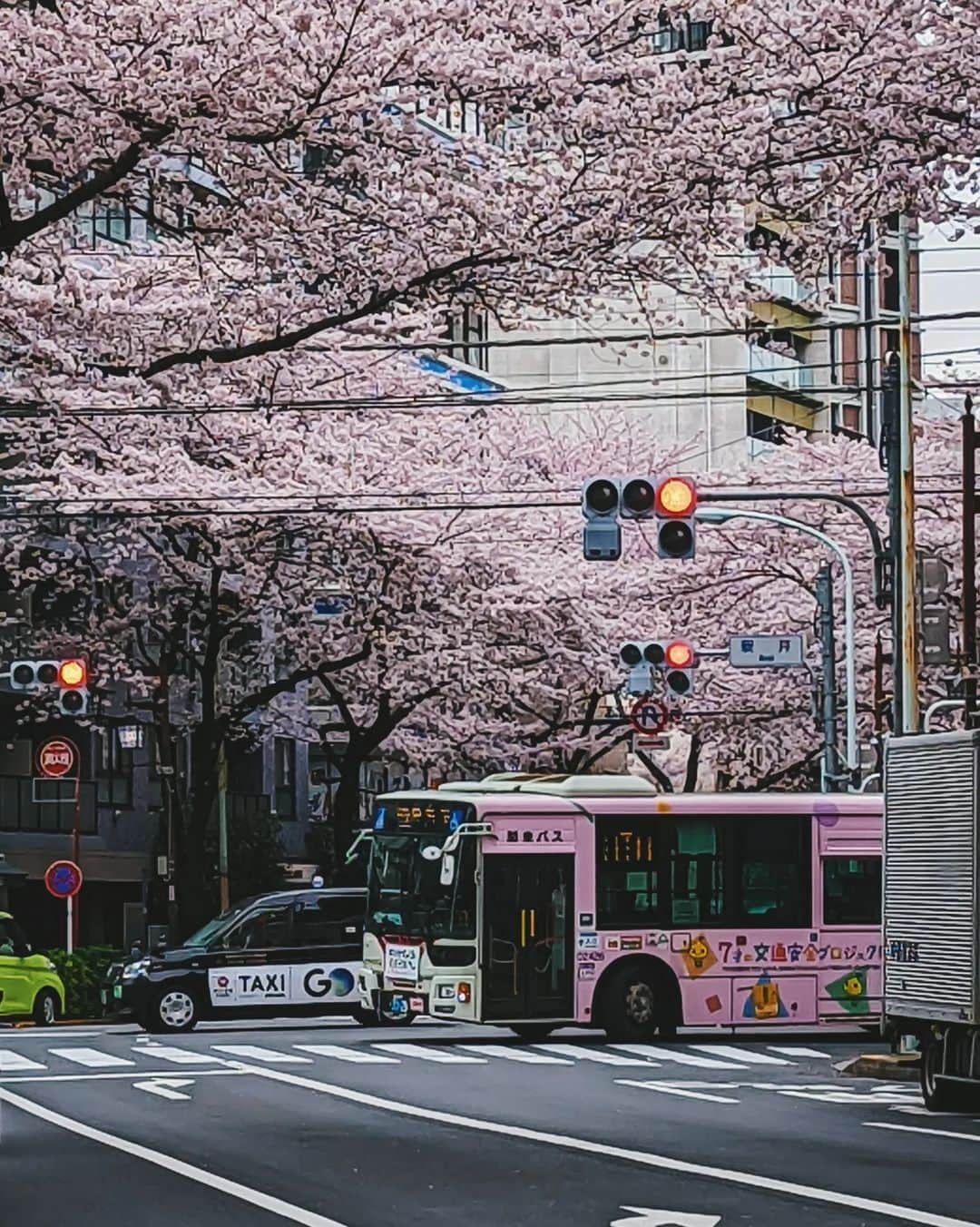 福田洋昭さんのインスタグラム写真 - (福田洋昭Instagram)「🌸🚕🚎 #TeamPixel #Pixelで撮影 #GooglePixel #Ad」5月1日 0時11分 - hirozzzz