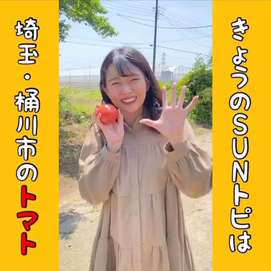 角田奈緒子のインスタグラム：「きのうのSUNトピは 今が旬のトマトをご紹介しました🍅 信じられないくらい美味しかった！ すすめられるがまま、モグモグゴクゴクした動画🍅  #日曜nスタ #sunトピ  #トマト #男気トマト」