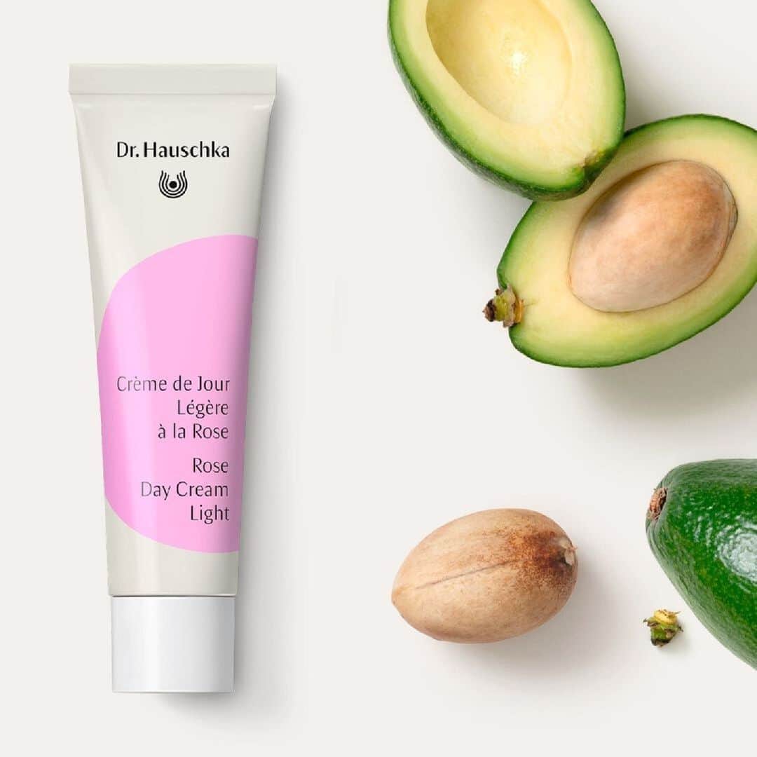 Dr. Hauschka Japan ドクターハウシュカのインスタグラム：「【限定発売】  今の季節にぴったりの、ローズデイクリームライトです。定番のローズデイクリームより、少しみずみずしくて軽いバージョンのクリームです。  限定パッケージでギフトにもぴったり✨  みずみずしいけれど、アボカドオイル🥑も 含まれていてゆらぎがちな季節のお肌をしっかり保湿も叶えます。  🥑お肌に優しいマイルドな保湿力 🥑使用されているアボカドは、 ケニヤのバイオダイナミック農場で栽培 🥑やや乾燥が気になる、みずみずしいテクスチャーをお好みの方に」