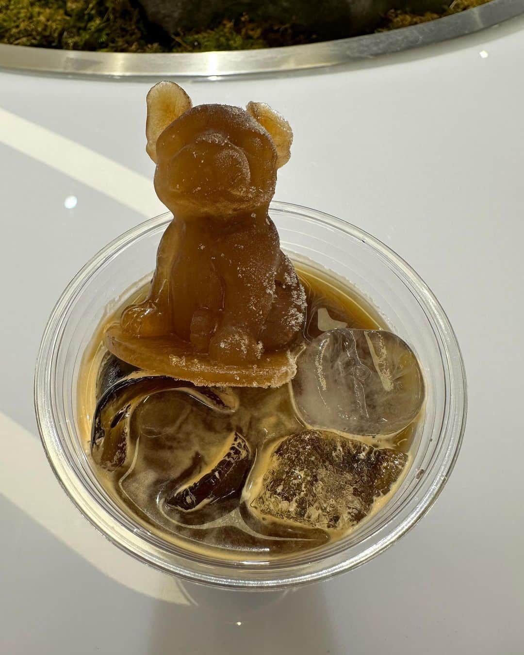 高橋理洋のインスタグラム：「LifeWorkカフェ。明洞。コーヒーの氷でできた犬が可愛い。空いてるしコーヒーも美味しいしいい感じ😄」