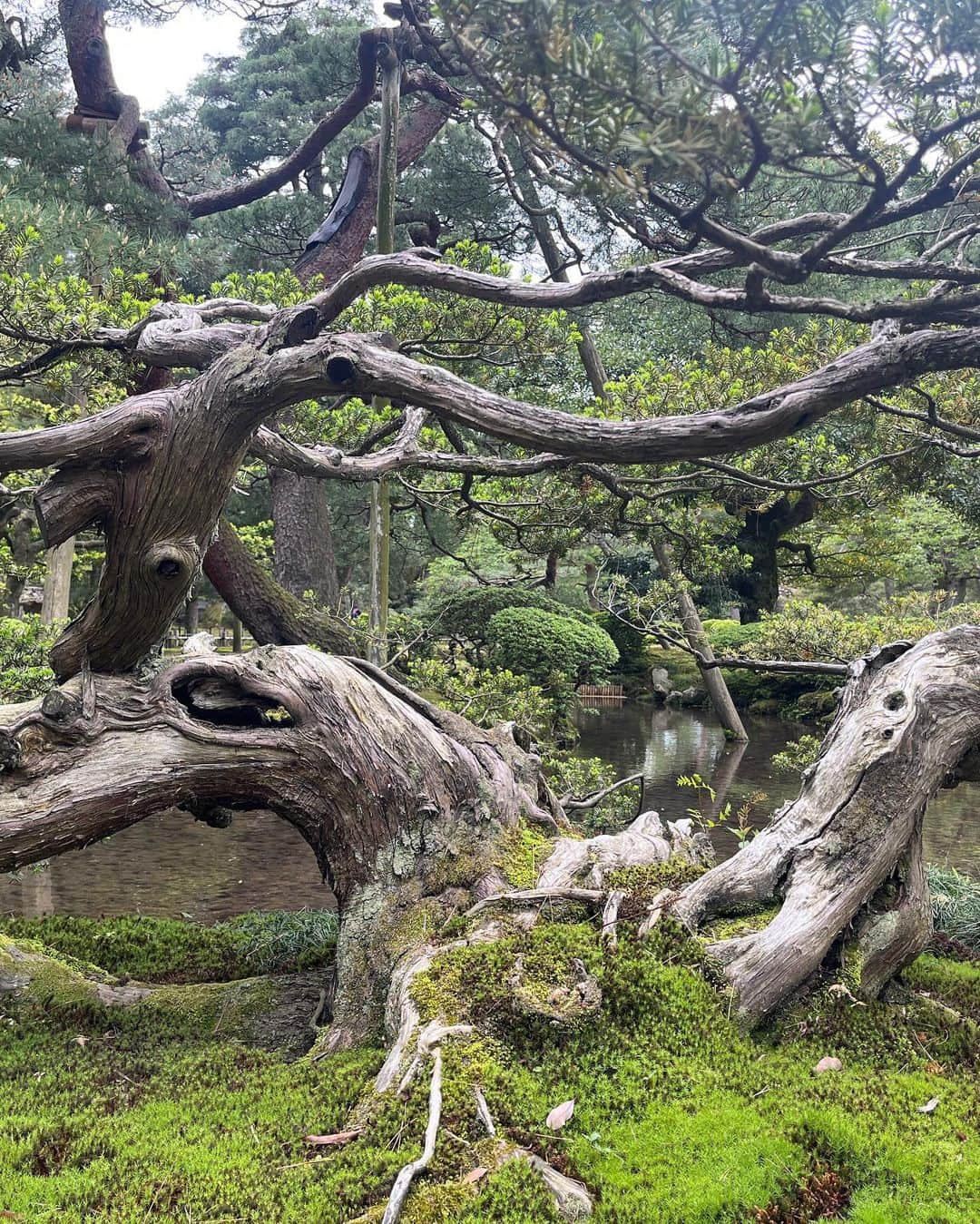 三原康司さんのインスタグラム写真 - (三原康司Instagram)「日常」5月1日 12時40分 - miharakoji