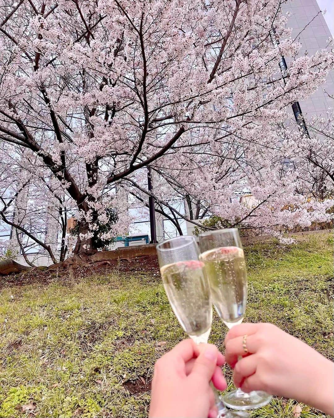 藤崎奈々子さんのインスタグラム写真 - (藤崎奈々子Instagram)「桜が咲いていた頃なおちゃんと @yamanaon  お花見ピクニックにお出かけ ・ なおちゃんが豪華なお花見弁当を作ってくれたので、私は泡泡と可愛いスイーツを買って合流←ちょっとは作れよ、という声が聞こえる… ・ 雨予報だったけど、晴れ間が見えたり虹まで出現したりで楽しいお花見でした 最後は寒さに凍えてる写真（笑） また、なおちゃんのお弁当食べたいなぁ 美味しいお弁当ありがとう！ ・ #お花見 #お花見弁当 #お花見ピクニック #お花見スポット #虹  #東京旅 #プチトリップ  #tokyotrip #japantrip」5月1日 12時42分 - nanakofujisaki
