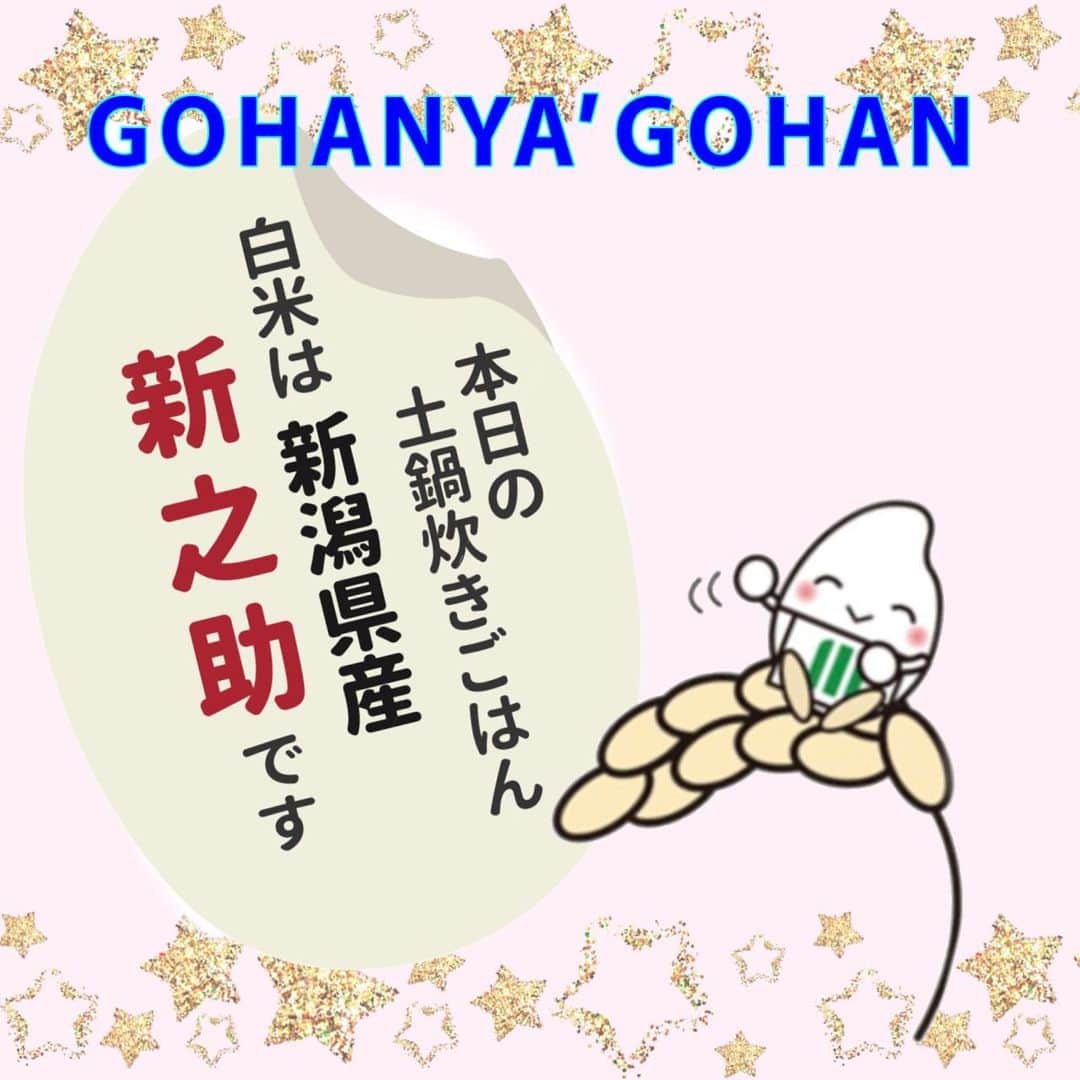 ミツハシくん-Mitsuhashi Rice-のインスタグラム：「GOHANYA’GOHANからお知らせです♪  白米が『新潟県産新之助』になったよ。 まろやかな甘みと深いコクのある味わい♡ 炊き上がりは大粒でふっくらツヤツヤ✨  TVCMなどで一度は耳にしたことがあるのでは？🧐  この機会に是非お召し上がりください！ お店でお待ちしていま～す。  #ミツハシくん  #ミツハシライス  #企業キャラクター   #gohanyagohan  #みなとみらい  #横浜グルメ #みなとみらいグルメ  #横浜ランチ #みなとみらいランチ   #新潟県産 #新之助  #お米 #ごはん #rice  #白米 #和食 #定食  #土鍋ご飯」