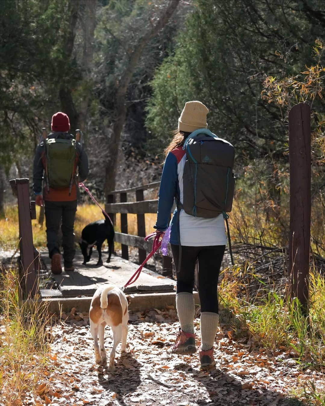 ケルティのインスタグラム：「Kelty's new Asher Asher 24 pack is the little brother to our robust Asher pack line and it's ready to get you out on the trail for an epic day hike with minimum fuss and maximum fun! ⁠ ⁠ The Asher 24 is a lighter weight more compact little brother to the award winning Asher 35. With an AMP-Flow ventilated back panel, Sternum and waist band stabilizers, a front shove-it pocket, trekking pole loops, dual mesh water-bottle pockets (as well as internal hydration compatibility) this pack is ready for whatever day adventure you throw at it, and has a slightly smaller footprint than the already awesome Asher 35.⁠ ⁠ Check out the full Asher lineup at the 🔗 in bio now!⁠ ⁠ P.S. Looking for even smaller and more lightweight technical day pack? Check out the Asher 18 as well, the smallest tech day pack in our assortment!⁠ ⁠ #builtforplay #keltybuilt #getoutside #asherpacks」