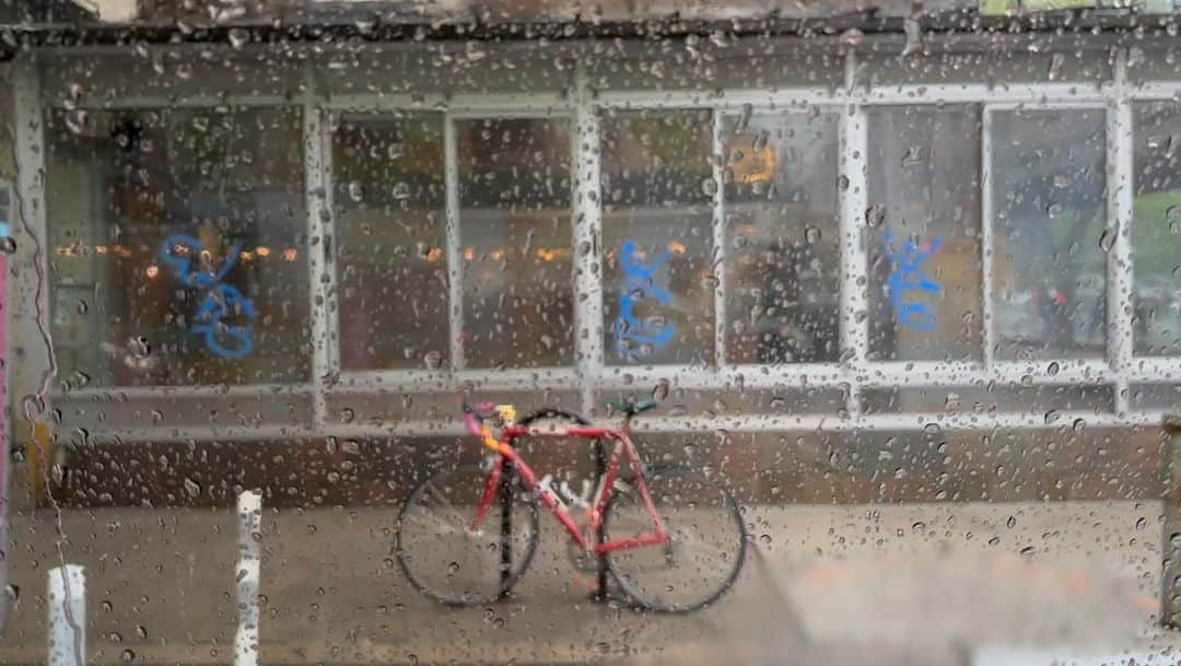 アレクサンドラ・ダダリオのインスタグラム：「After an endless LA winter, the kind I’ve always dreamed of having when, coming from nyc, (I found the endless sunshine oppressive) - nyc doesn’t disappoint on weather, making getting 8 blocks impossible, (it’s always better to walk), soaking our bags, shoes and brains. “I can’t think straight.” “Your brain is filled with water”  “I’m hungry. How bout you?” “I can’t tell.” “I could order us some westville. You love westville.” “What’s westville?” “It’s-“ “Oh my god! Look! You see that corner there? That’s where I had the date with the boy where he said I wore too much eyeliner!” “You never wear eyeliner. “Maybe because of that exact moment-“ “Shhh. We are going Brooklyn. You don’t have to re-live Manhattan.” “I was always too drunk in Brooklyn.” “But you never drink.” “Maybe that’s because of my nights in Brooklyn-“ “I’m ordering you the southwestern bowl from westville.”  “Okay. It’s only noon in LA. When will this rain let up anyway?” “Probably, as soon as you leave for Utah.”  “Probably.”」