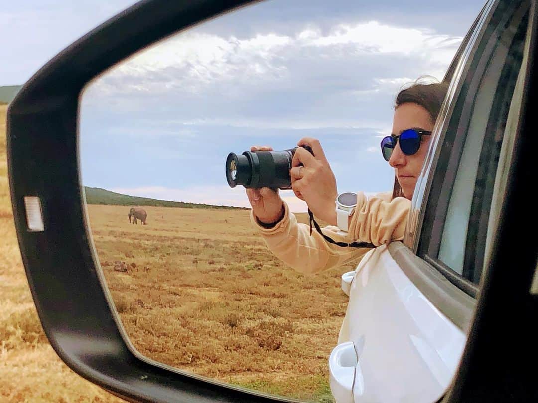 マリッサ・キャステリのインスタグラム：「🐘」