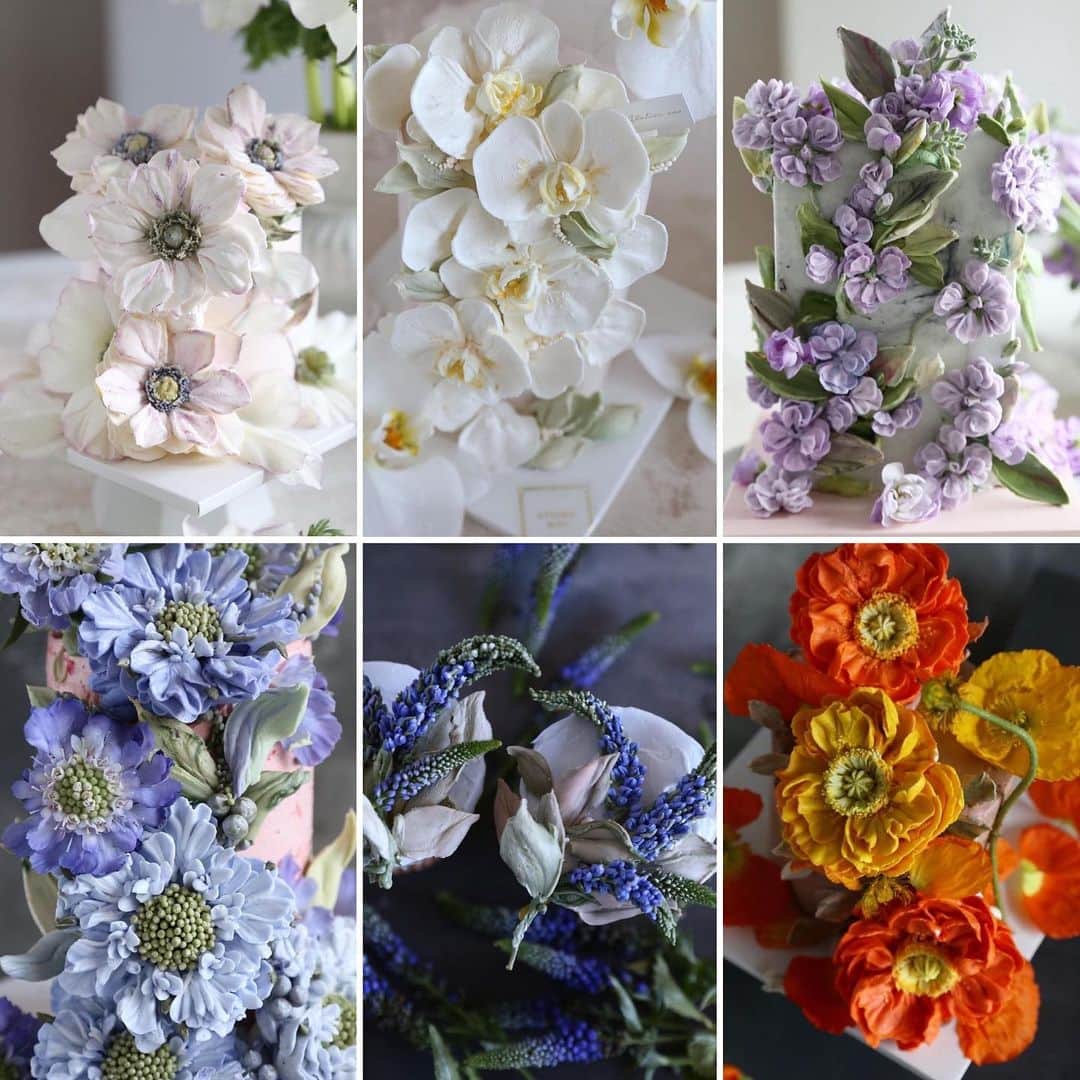 청담 수케이크 (atelier soo)のインスタグラム：「ㅡ 2023.January - March Atelier soo  Collection of Cake Decorating 🎂  #buttercream  #flowercake」