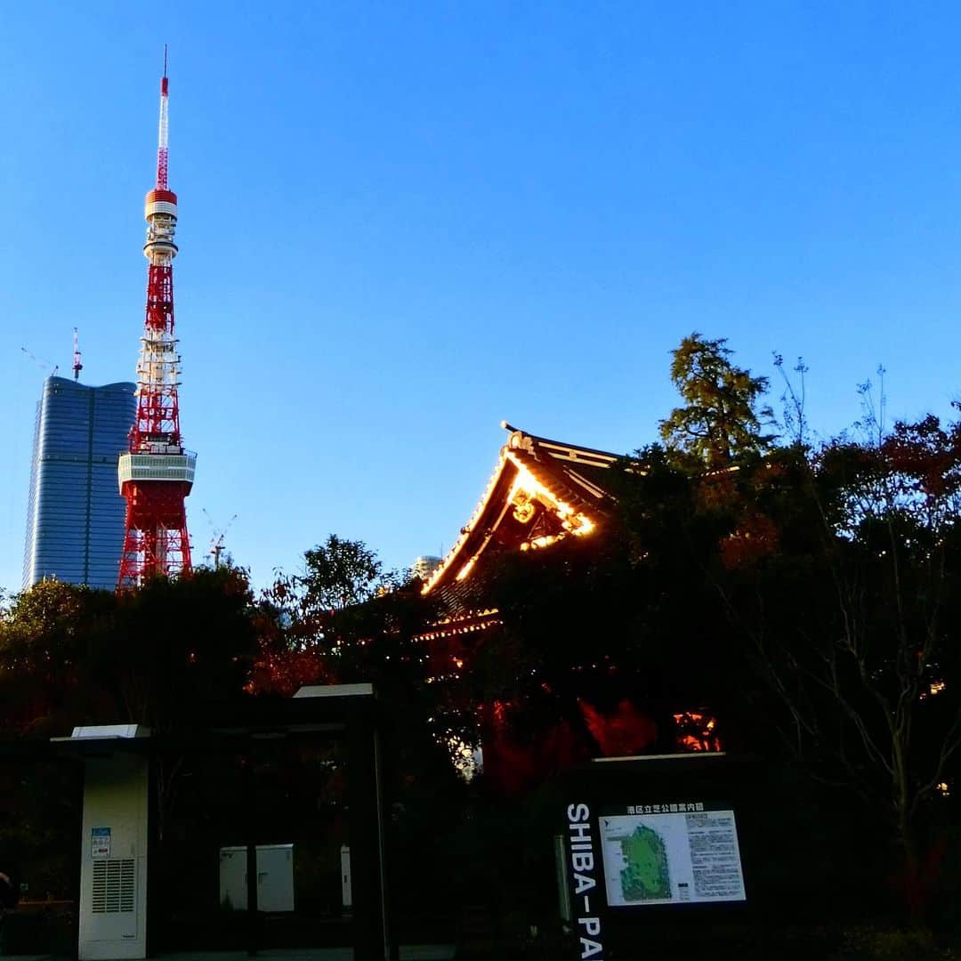 細川茂樹のインスタグラム