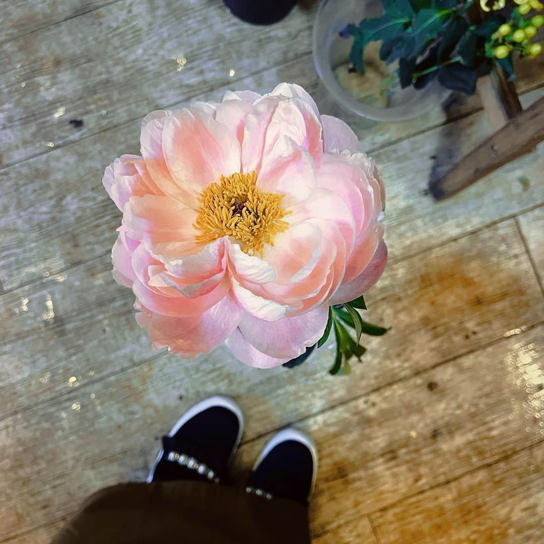 川崎優さんのインスタグラム写真 - (川崎優Instagram)「. . シャクナゲ。  #咲いた #花のある暮らしをしてみたりしている #お気に入りの花屋さん」5月1日 8時25分 - yuu__noir