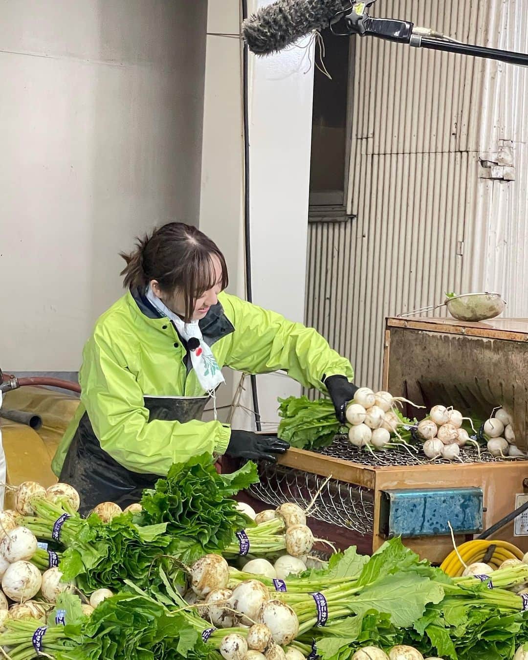 須田亜香里さんのインスタグラム写真 - (須田亜香里Instagram)「5月1日(月)NHK 12:20〜 【#うまいッ】 今回は千葉県柏市の小カブ農家さんへ。 すっごく綺麗で美味しい子カブ。 なんと、驚きの時間帯から皆さん収穫作業をしていらっしゃいました🌙 何時なのか、予想しながら放送観てみてね😊 OAではロケ、スタジオ、生ナレーションと須田の声も姿も盛りだくさんです🫣 ラストはいただいた子カブで母が作ってくれた浅漬け。 美味しかった💓 #NHKうまいッ #千葉県柏市 #こかぶ」5月1日 8時43分 - akarisuda