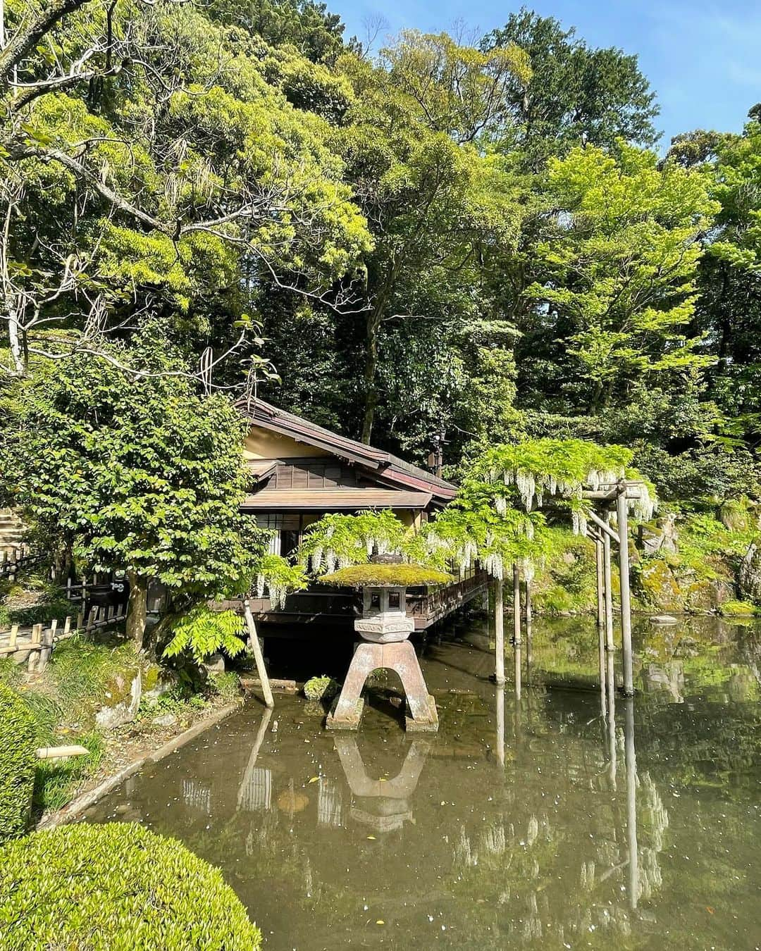 川村ひかるさんのインスタグラム写真 - (川村ひかるInstagram)「❤︎  兼六園  新緑がとても綺麗で久しぶりにリフレッシュできた🌳  15年前にきた時は感じなかったけど… 歳を重ねて自然の素晴らしさに感動するね☺️  お天気もよく主人の親友と3人でお散歩は楽しかった✨✨  #兼六園  #お散歩」5月1日 9時21分 - hikaru.kawamura