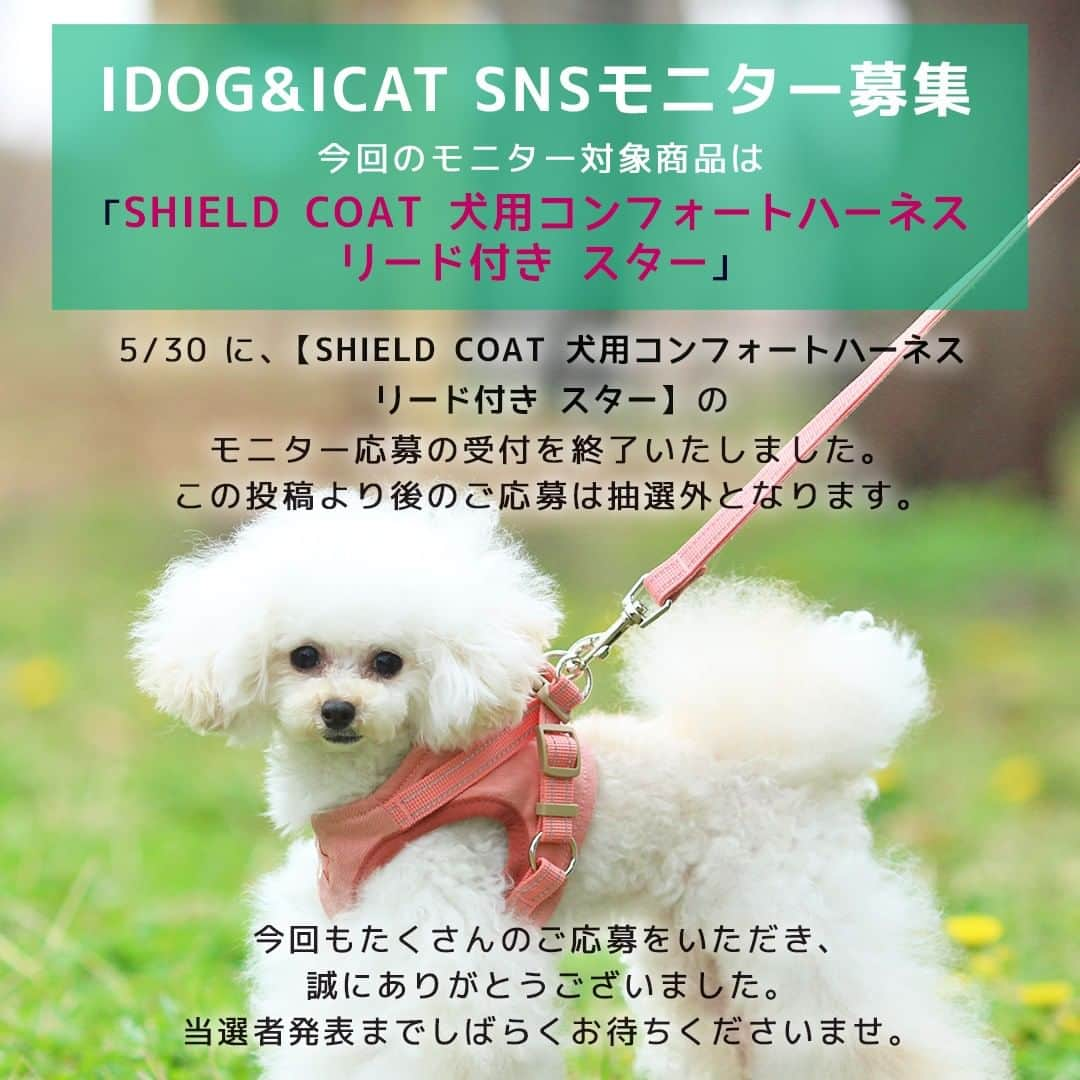 iDog&iCatさんのインスタグラム写真 - (iDog&iCatInstagram)「「SHIELD COAT 犬用コンフォートハーネス リード付き スター」のモニター応募は4/30に終了いたしました。 #iDogSNSモニター応募 へのたくさんのご応募ありがとうございます。 これ以降のご応募は受け付けられませんのでご了承ください。  これよりエントリーいただいた皆様の投稿から、抽選を行います。 結果発表までの抽選期間中にアカウントを非公開にしたり、応募用の投稿を削除されるなど、ハッシュタグの中から投稿が消えてしまうと選考から除外されてしまいますのでお気をつけ下さい。  当選者発表までお楽しみに！  #IDOGICAT #iDog #iCat #犬 #いぬ #ペットハーネス #春夏新作 #モニター募集 #iDogSNSモニター応募 #犬の服iDog #お試し #犬服 #ドッグウェア #ペット」5月1日 9時23分 - idogicat