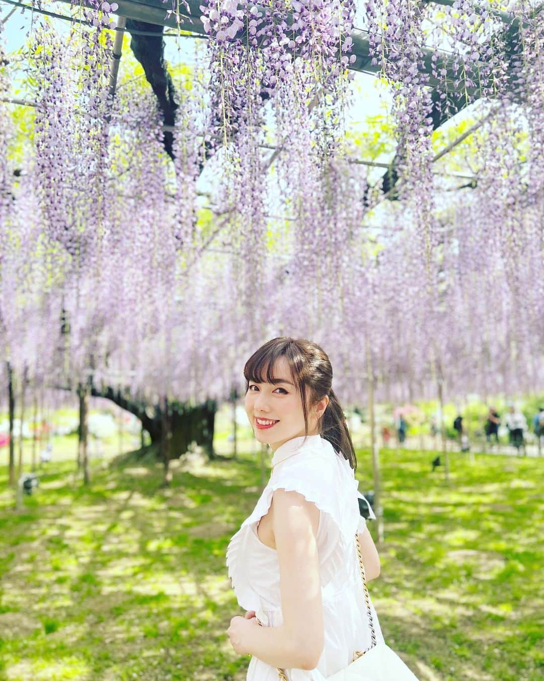 早川愛さんのインスタグラム写真 - (早川愛Instagram)「💜💜💜  今日から5月💜💜💜 今月パタパタだけどがんばろう🐰  念願の大藤💜💜💜 一本の木から沢山の枝が分かれていて予想外のおおおきさでびっくりしました😲💜💜 とってもいいかおりでした💜💜 @ashikaga_flower_park   ・  #大藤 #あしかがフラワーパーク #足利観光 #紫の世界 #happy」5月1日 9時45分 - megumegu_1006