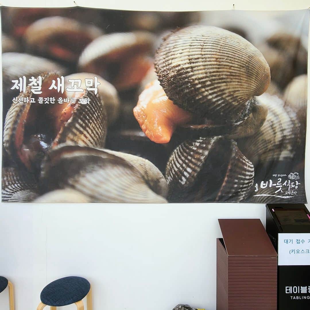 JR九州高速船株式会社さんのインスタグラム写真 - (JR九州高速船株式会社Instagram)「[日本語] [한국어] 釜山・影島（ヨンド）オルバルッシクダン 올바릇식당  今日は、「ハイ貝」料理の専門店を紹介します。 日本ではあまり見かけないハイ貝ですが、韓国ではとても人気！😋 この店では、ハイ貝のビビンバ・ハイ貝の和え物・お肉のチヂミをワンプレートで味わえます。 窓から見える海の景色も最高なので、ぜひ訪れてみてください。  오늘은 일본에서는 보기 드문 꼬막요리 전문점을 소개합니다. 꼬막 비빔밥과 꼬막 무침, 육전을 한접시에 맛볼 수 있는 올바릇식당은, 창 밖으로 부산의 바다를 감상할 수 있어 더욱 인기입니다.😊👏  【住所・주소】 부산 영도구 해양로247번길 35 6층 South Korea, Busan, Yeongdo-gu, Haeyang-ro, 247-35 6F  【営業日・営業時間】※定休日：火曜日 月・水・木・金 11:00～20：00（ブレイクタイム 15:30～17:00） 土・日・祝　11:00～20:00（ブレイクタイム なし）  #クイーンビートル #QUEENBEETLE #퀸비틀 #韓国旅行 #韓国 #釜山旅行 #釜山 #プサン #ハイ貝 #korea #busan #한국 #부산 #부산여행 #한국여행 #부산맛집 #꼬막 #올바릇식당 #韓国好きな人と繋がりたい #JR九州高速船」5月1日 9時37分 - beetle_de_go