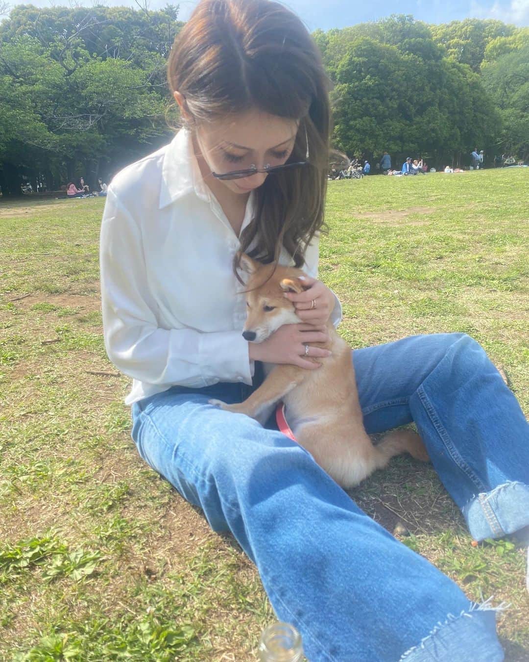 齋藤菜月のインスタグラム：「ルークとお散歩☀️🐕  先輩犬にもご挨拶🐶  お休みの日の代々木公園は 子供とわんちゃんが走り回っていてとても癒される🥰🥰 私を含め走り回ってる大人もいたけど🤣 代々木公園駅裏のタコスとコロナおいしかったー💞🌮🍻 はんちゃんありがと💞💞  ずーっと大ファンのごまお様にも会えて 小さすぎるポテトちゃんにルークは終始怒られてた😂 のんちゃんいつもありがとうです🐶  ゴールデンウィークはたくさんルークと過ごせて嬉しいなあ💓  皆様も連休楽しくお過ごしください🧚‍♀️  #GW#代々木公園 #お散歩#ピクニック#豆柴#わんわんパラダイス#🍻#🌮」