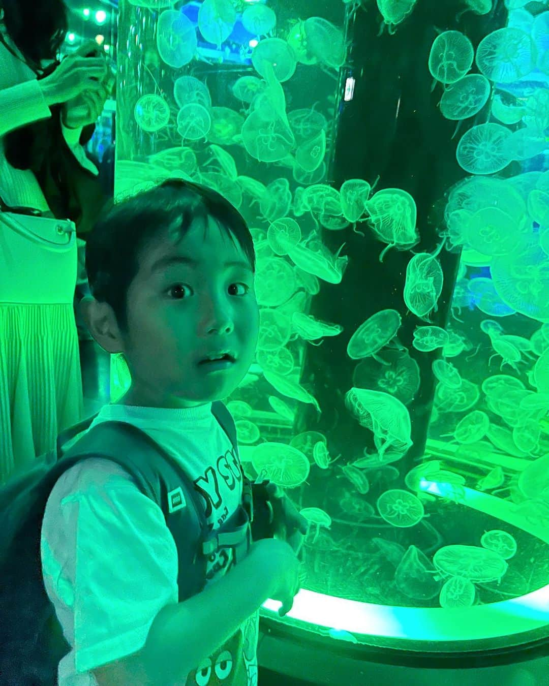 藤田志穂さんのインスタグラム写真 - (藤田志穂Instagram)「子鉄と久々に水族館🐠 ・ 前までは、せっかく連れて行っても、親が期待していたように楽しんでもらえない事も多くて（笑） ・ それでも、子供の楽しそうな笑顔の為にお出かけして、最高な笑顔が見れたらそれでオッケー👌 ・ そんなお出かけが多かったけど、最近は2人きりのお出かけも、一緒に楽しむ事が出来て本当に面白い👍 ・ 👦「母ちゃん、こっち座れば？」 👦「ボクが荷物を持つよ！」 👦「今日は有り難う！良い1日だった！」 ・ 笑顔だけじゃなく、そんな気遣いなんかも出来るようになっちゃって🥹👏 ・ たまたまタイミングの合ったイルカショーでは、2人して気合い入れてレインポンチョ着てたのに、後半に気を抜いたタイミングでイルカからのスプラッシュを頂いて、2人してびしょ濡れになりました🤣 ・ 今までの子鉄なら、予想外の出来事にテンションがガタ落ちしてただろうけど、とても喜んでいたのもまた成長👏  次はシャチショー見に行きたいらしいので、誰か行こー🥹🙌 ・ ちなみに 水族館に向かう途中、電車内でプラレールスタンプラリーを見つけてしまい、水族館を楽しみながらも時折スタンプラリーを思い出すらしく、ソワソワしていた子鉄🤣 ・ やっぱり、頭の中の優先順位は電車な子鉄です（笑） ・ #子供とお出かけ #品川アクアパーク  #5歳ってすごい #相方感 #どんどん出てくる #昔は #外出する度に #背中で床掃除してた #懐かしいなぁ 😂 #子鉄とお出かけ」5月1日 10時29分 - shiho_fujita44