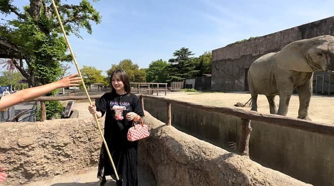 志保さんのインスタグラム写真 - (志保Instagram)「東武動物公園ほんと好き🐘 #東武動物公園 #tobuzoo」5月1日 11時19分 - shiho__official