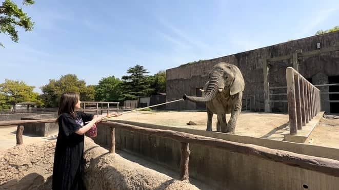 志保さんのインスタグラム写真 - (志保Instagram)「東武動物公園ほんと好き🐘 #東武動物公園 #tobuzoo」5月1日 11時19分 - shiho__official