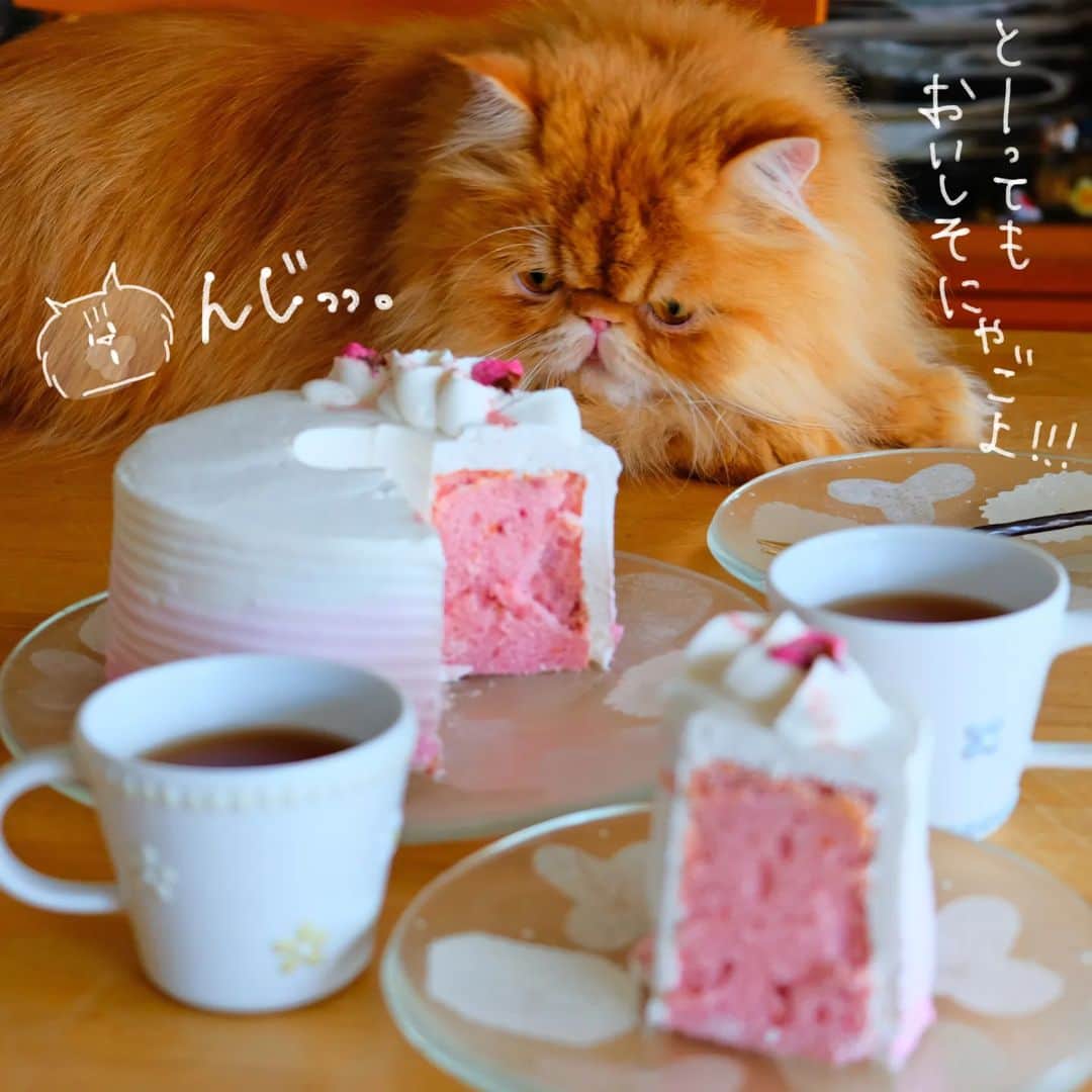 なっつ。のインスタグラム
