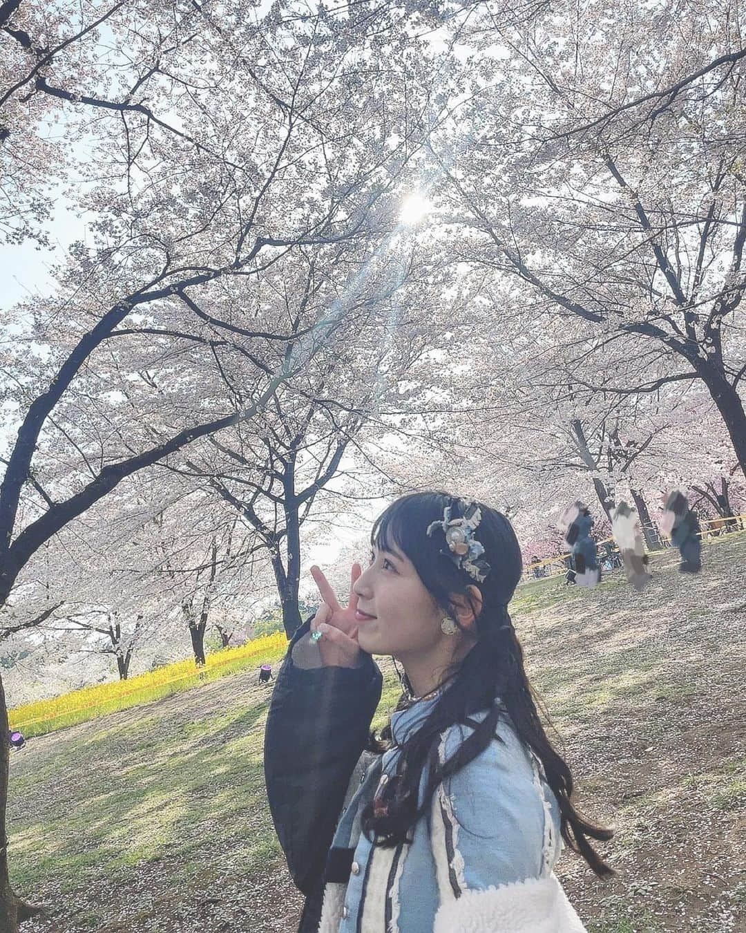 井上瑠夏のインスタグラム：「5月〜🌸🎏 写真はさくら〜🌸」