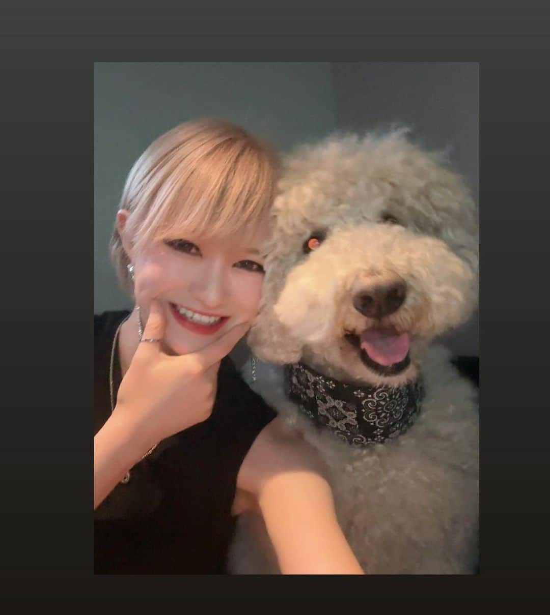 のインスタグラム：「仲良し　ガホ店長　@gaho3dog  🍬 @candy_gym_roppongi   #キャンディジム　#六本木　#ジム　#トレーニング　#フィットネス　#ダイエット　#キャバクラ　#スタンダードプードル　#犬のいる生活　#ブレイキングダウン　#看板犬　#犬　#犬語　#いぬごはん」