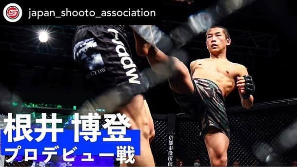 佐藤ルミナさんのインスタグラム写真 - (佐藤ルミナInstagram)「今後の日本MMA界を背負って立つであろう若い二人の緊張感溢れるデビュー舞台裏を是非ご覧下さい！今後も協会 YouTubeチャンネルでは試合映像以外の企画も増やしていく予定なのでフォロー宜しくお願い致します！We featured the debut fight of two talented 16-year-old super rookies. Posted @withregram • @japan_shooto_association 4月16日プロ修斗沖縄大会でデビューした期待の高校生ルーキー（16歳）2名のプロデビュー戦に密着。 ⁡ 【前編】知名 昴海 @sukai_mma  【後編】根井 博登 ⁡ 日本修斗協会YouTubeチャンネルにて配信。 ⁡ プロフィール欄から協会ホームページへいきYouTubeへ。  #修斗 #斬修斗沖縄 #shooto #知名昴海 #根井博登」5月1日 21時30分 - ruminasato