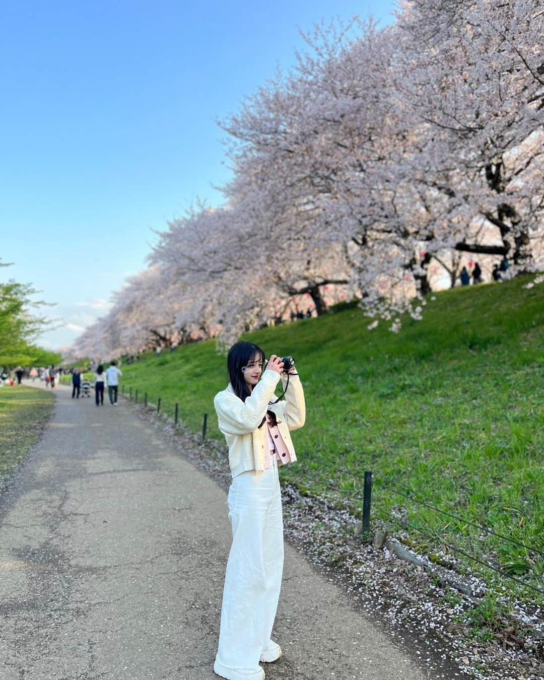 大峰ユリホさんのインスタグラム写真 - (大峰ユリホInstagram)「過ぎちゃったけど桜の時期の写真たち🌸」5月1日 21時42分 - lespros_yuriho