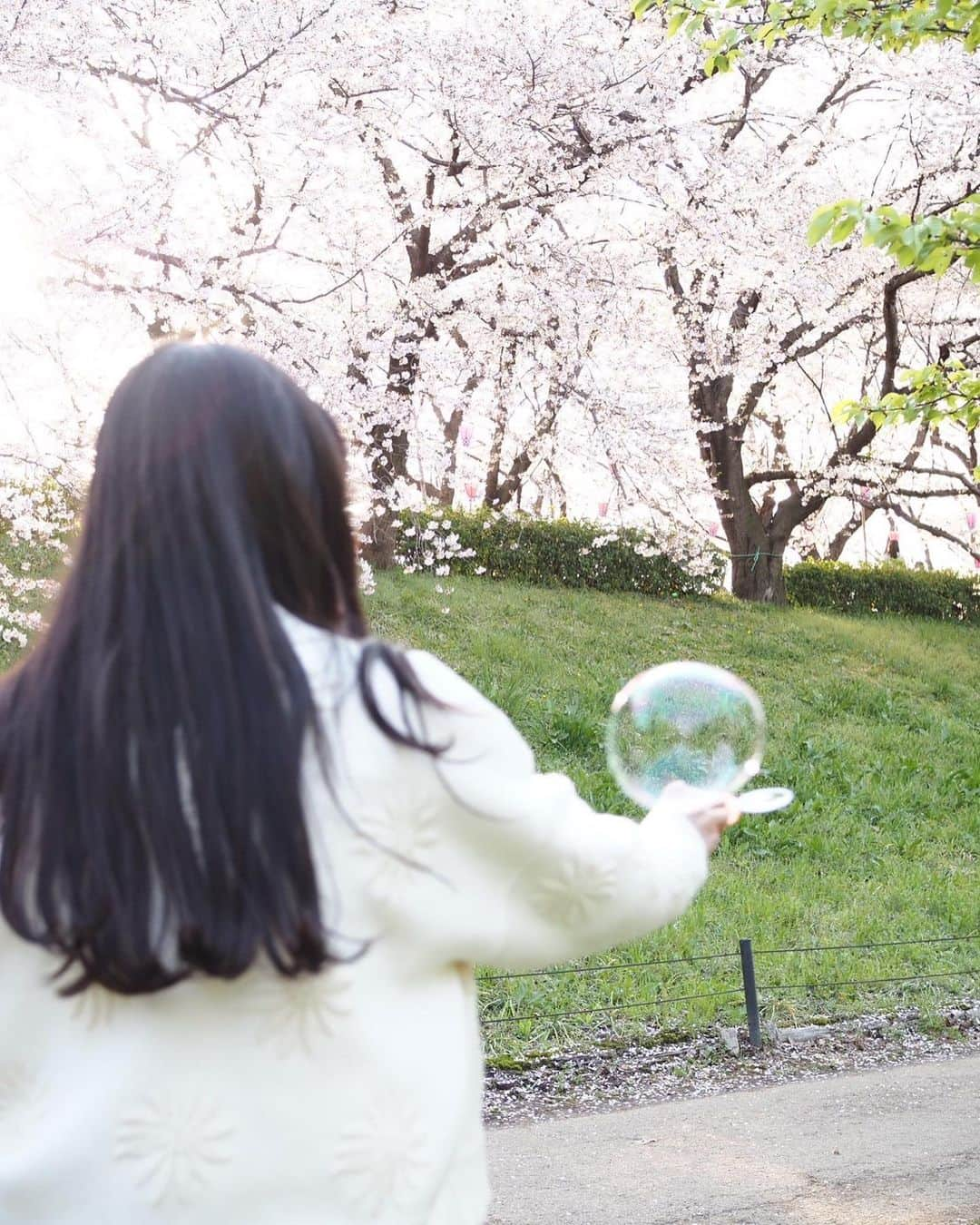 大峰ユリホさんのインスタグラム写真 - (大峰ユリホInstagram)「過ぎちゃったけど桜の時期の写真たち🌸」5月1日 21時42分 - lespros_yuriho