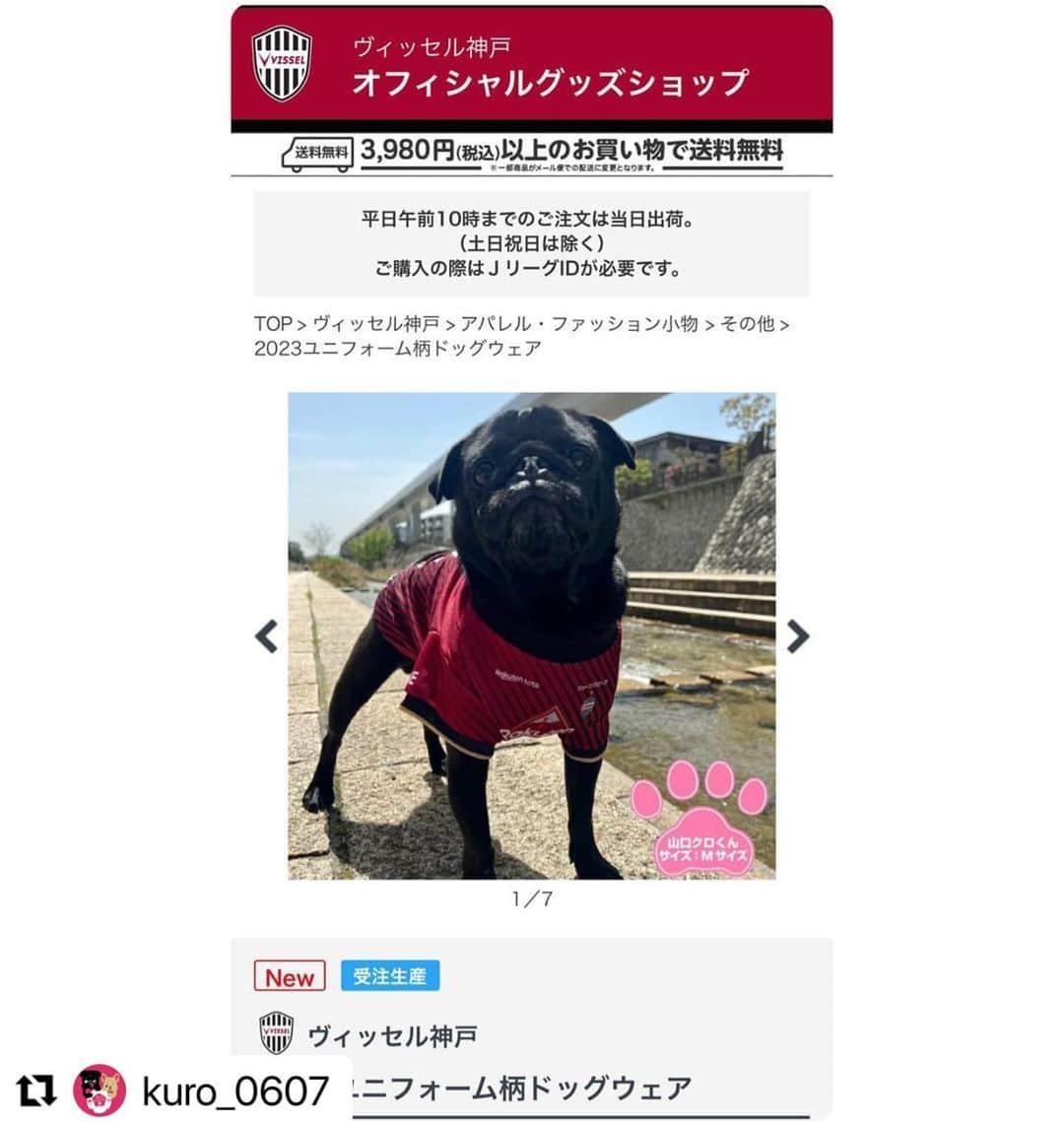 山口蛍のインスタグラム