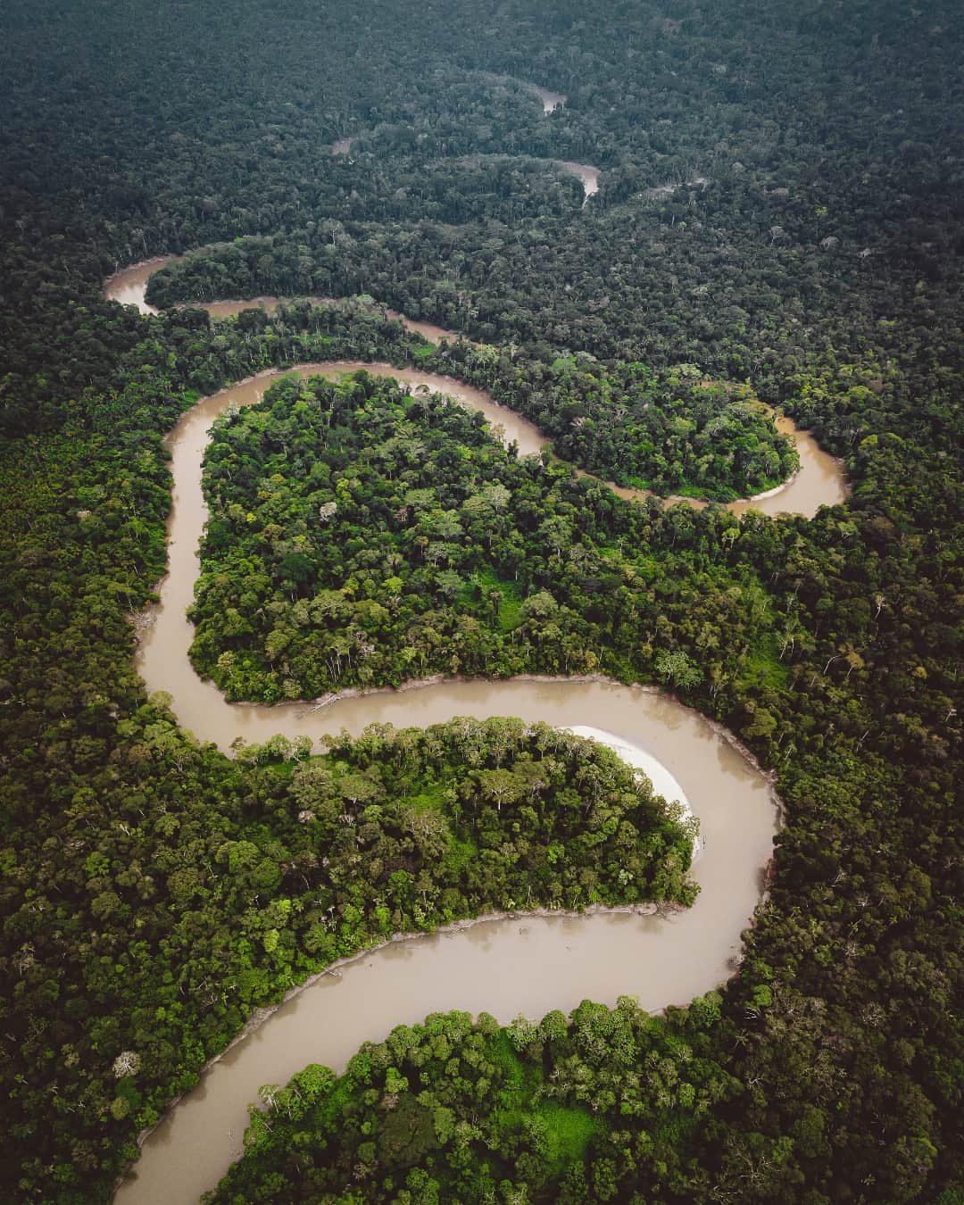 Discoveryさんのインスタグラム写真 - (DiscoveryInstagram)「Image by Mark Fox  This week, we're highlighting some of nature's most extreme environments!  The Amazon rainforest is the largest tropical rainforest in the world, covering an area of over 6.7 million square kilometers. 🌿   #NaturesExtremes」5月1日 22時00分 - discovery