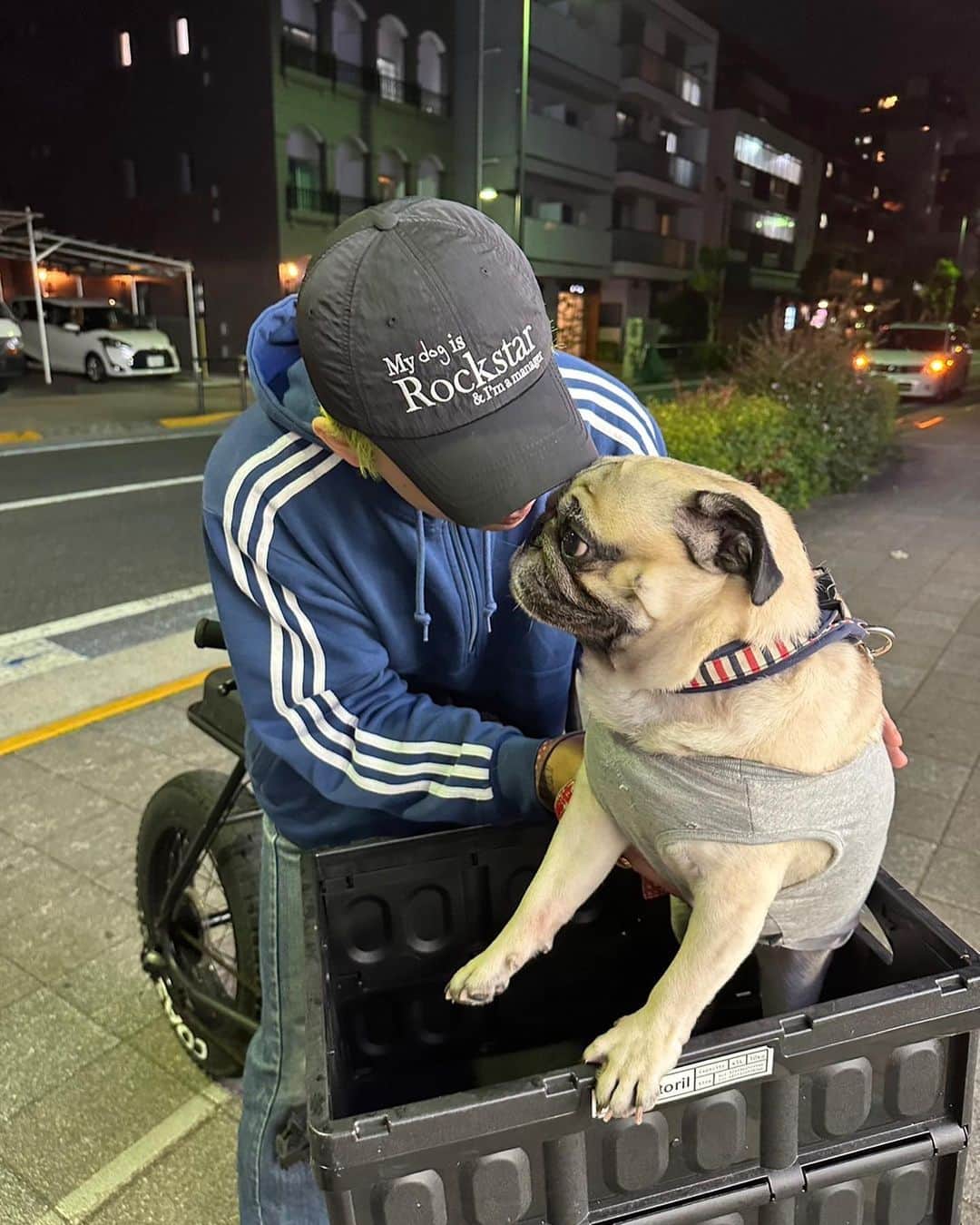 カワグチジンのインスタグラム：「My dog is Rockstar & I'm manager」