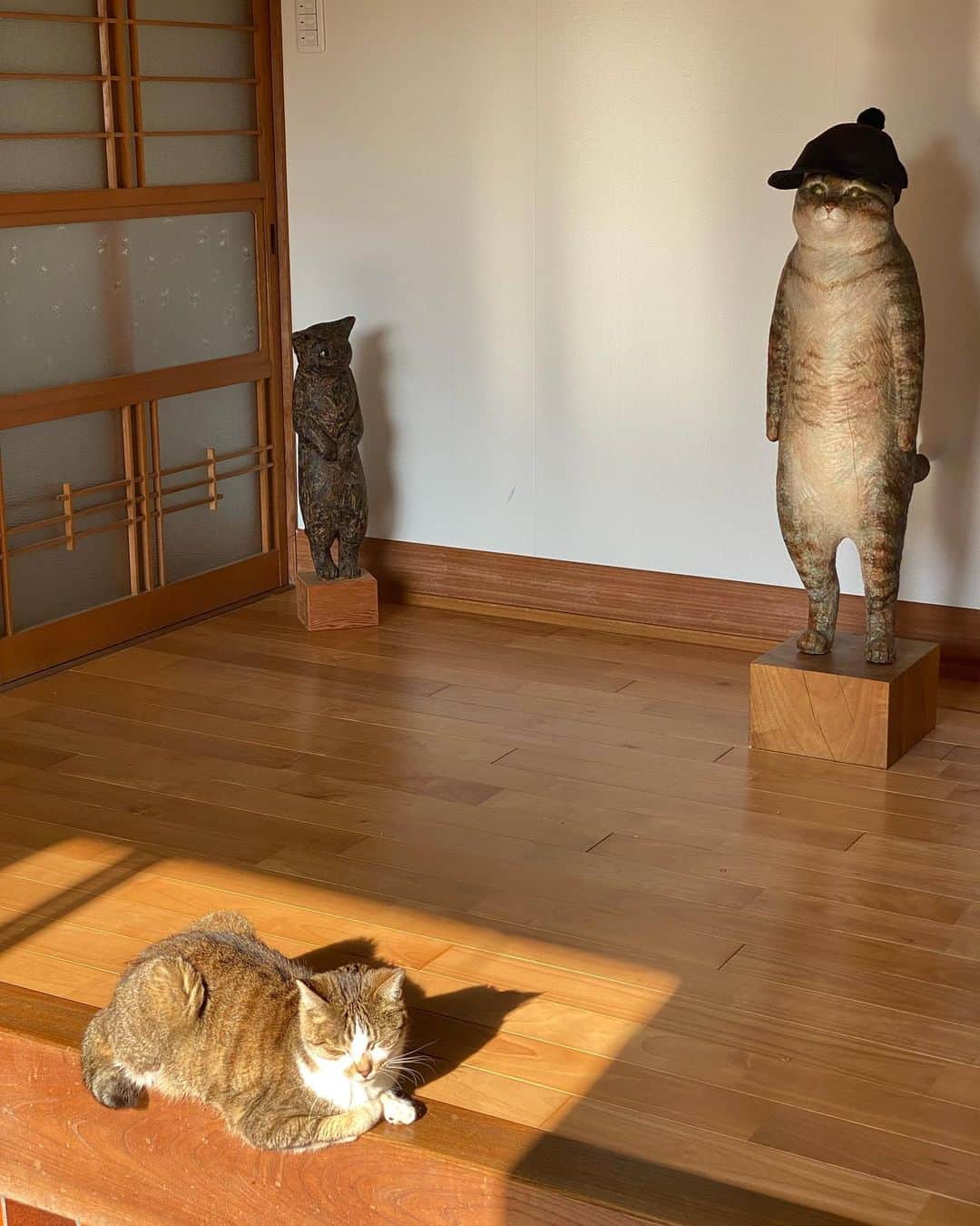 花房さくらさんのインスタグラム写真 - (花房さくらInstagram)「正確に日向ぼっこするうちの猫をご覧ください。  #ベストポジション  #cat #sculpture #hanafusasakura」5月1日 22時14分 - sakura_hanafusa