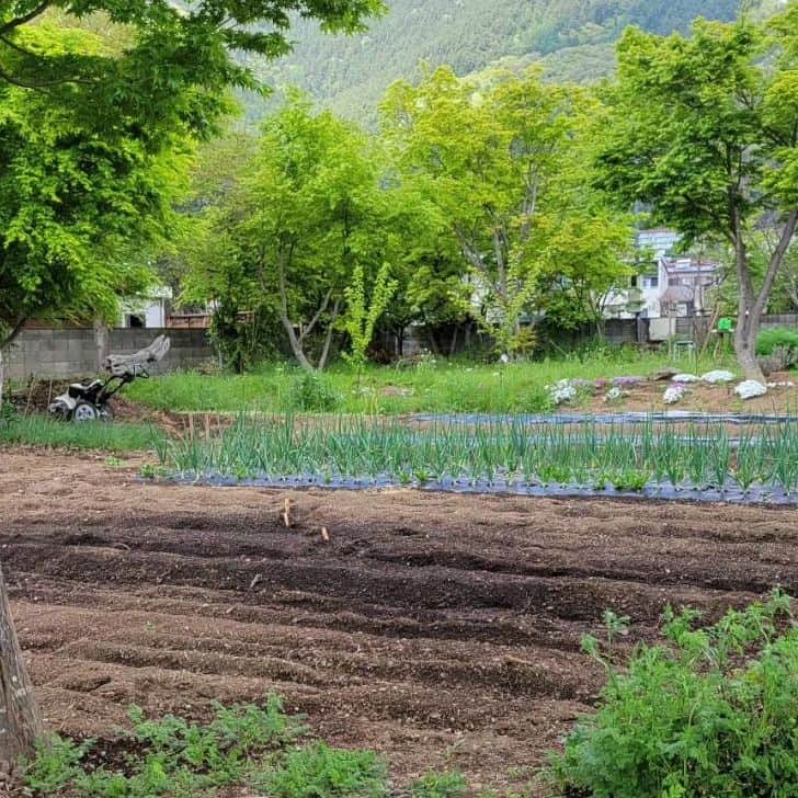 綾小路きみまろさんのインスタグラム写真 - (綾小路きみまろInstagram)「綾小路きみまろです。 今日の富士山🗻 新緑とのコントラストが😉👍️✨ #ポンポコ農園 も、そろそろ…♪ 只今色々計画中。  明日もよい日になりますように✨  #綾小路きみまろ #富士山 #河口湖」5月1日 22時22分 - ayanokojikimimaro_official