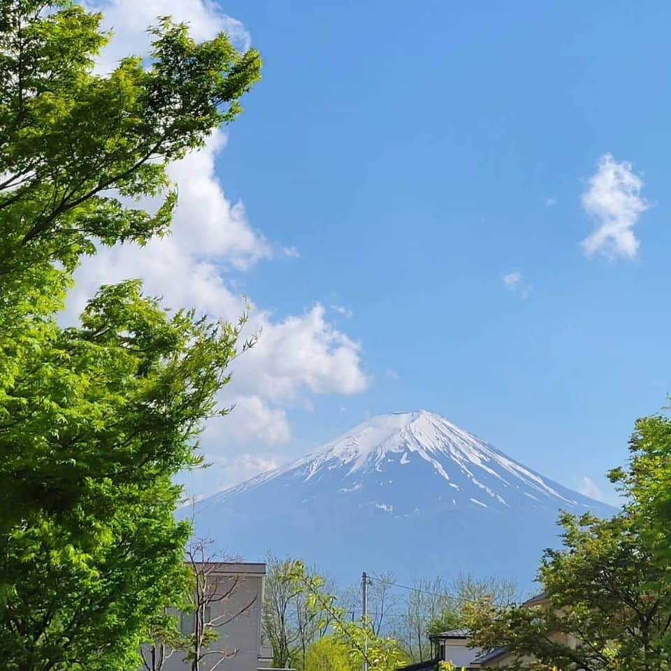 綾小路きみまろさんのインスタグラム写真 - (綾小路きみまろInstagram)「綾小路きみまろです。 今日の富士山🗻 新緑とのコントラストが😉👍️✨ #ポンポコ農園 も、そろそろ…♪ 只今色々計画中。  明日もよい日になりますように✨  #綾小路きみまろ #富士山 #河口湖」5月1日 22時22分 - ayanokojikimimaro_official